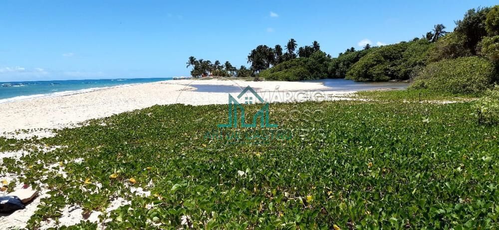 Terreno, 566 m² - Foto 3