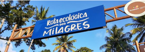 Dicas Imperdíveis para Aproveitar a Rota Ecológica dos Milagres em Alagoas