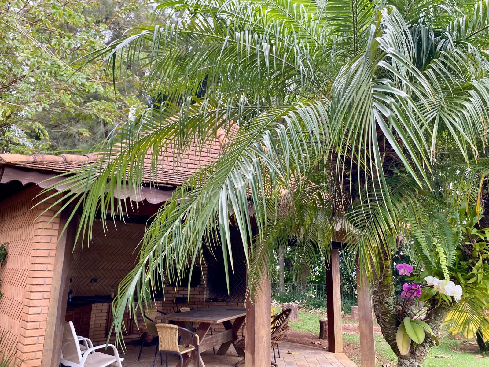 Casa, 4 quartos, 422 m² - Foto 15