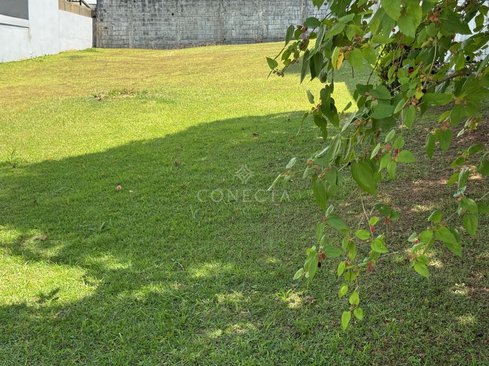 Terreno, 360 m² - Foto 6