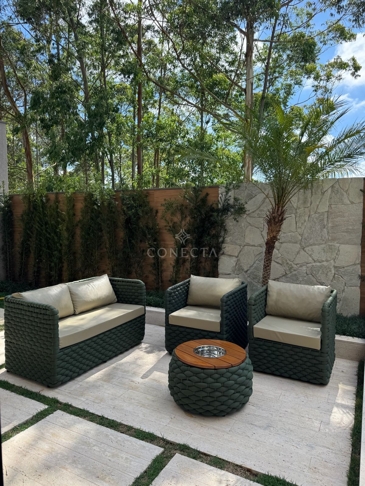 Casa, 4 quartos, 420 m² - Foto 3