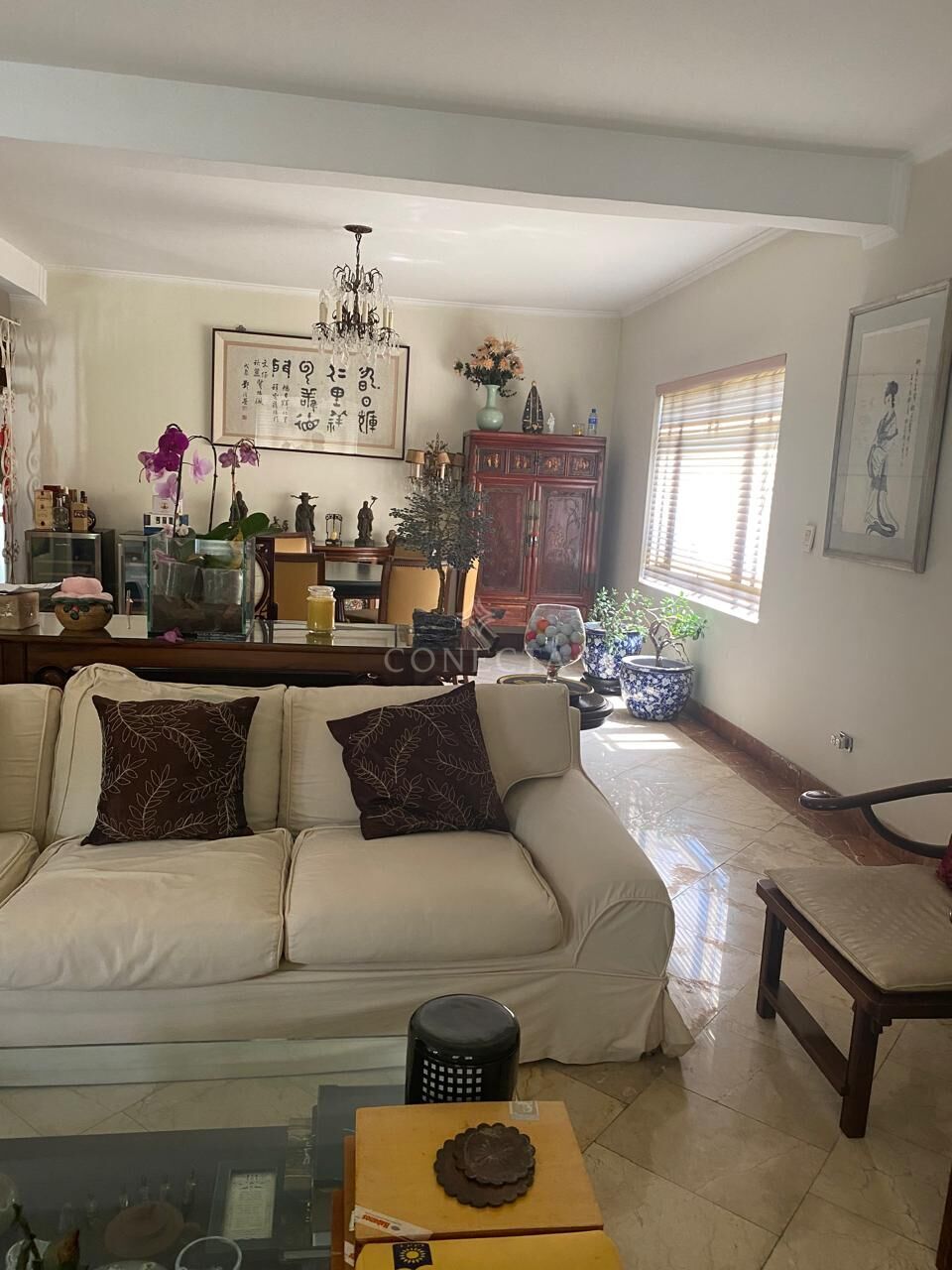 Casa, 3 quartos, 450 m² - Foto 3