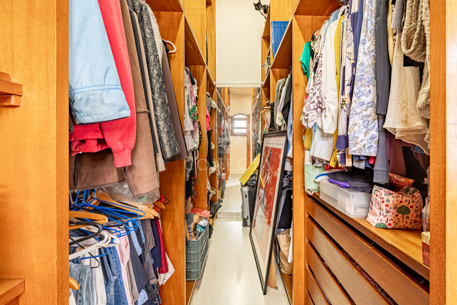 Casa, 4 quartos, 370 m² - Foto 23