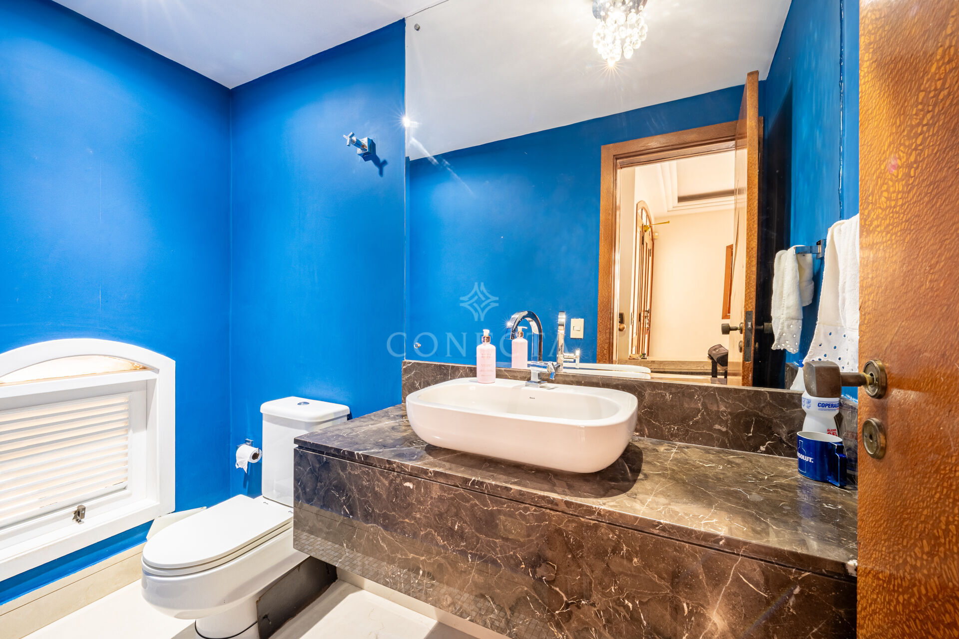 Casa, 4 quartos, 370 m² - Foto 15