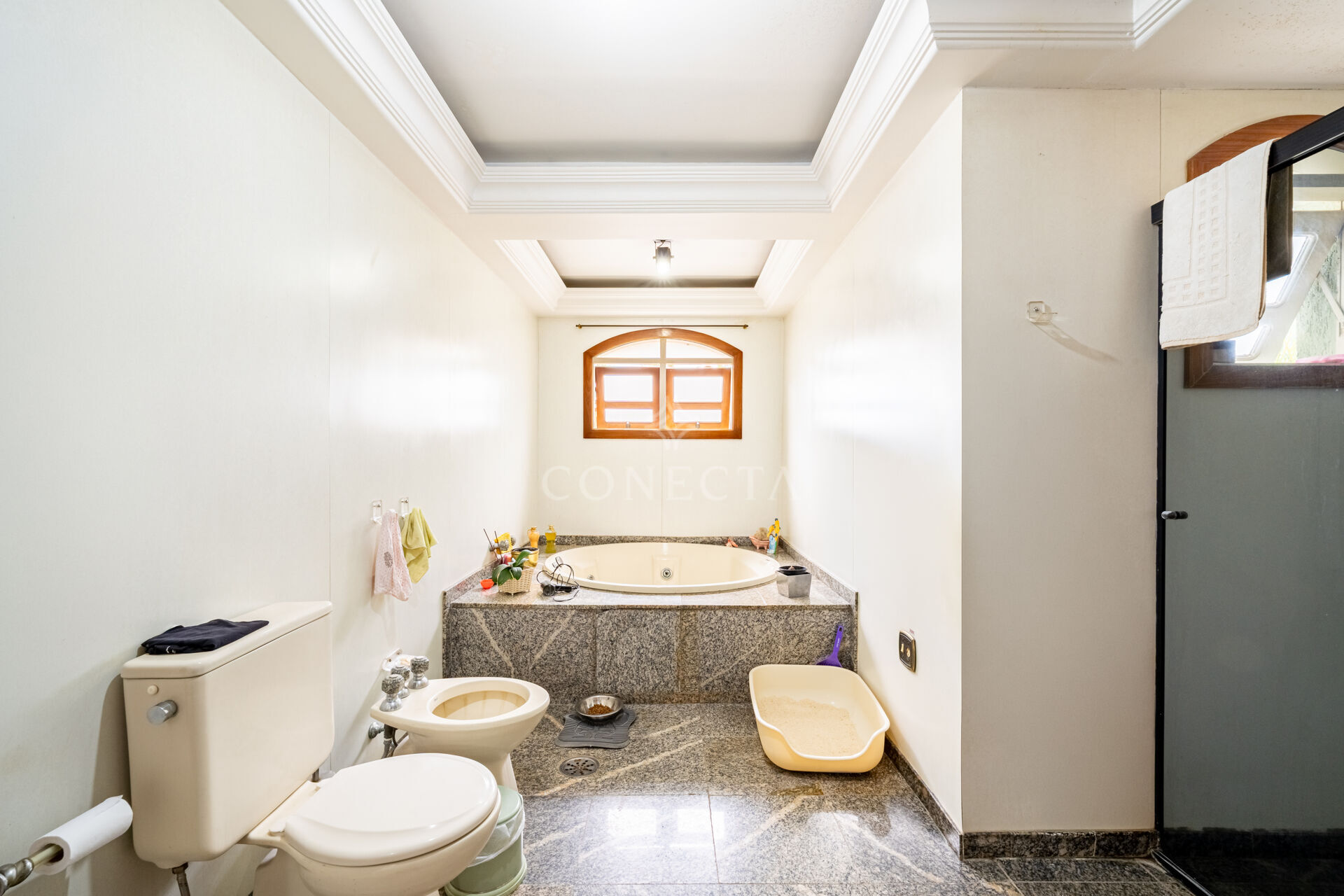 Casa, 4 quartos, 370 m² - Foto 26