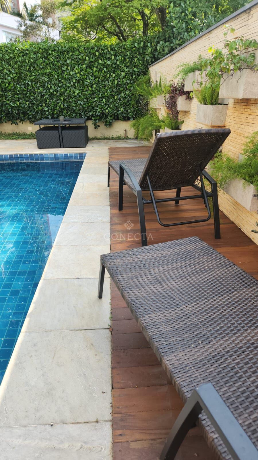 Casa, 4 quartos, 480 m² - Foto 3
