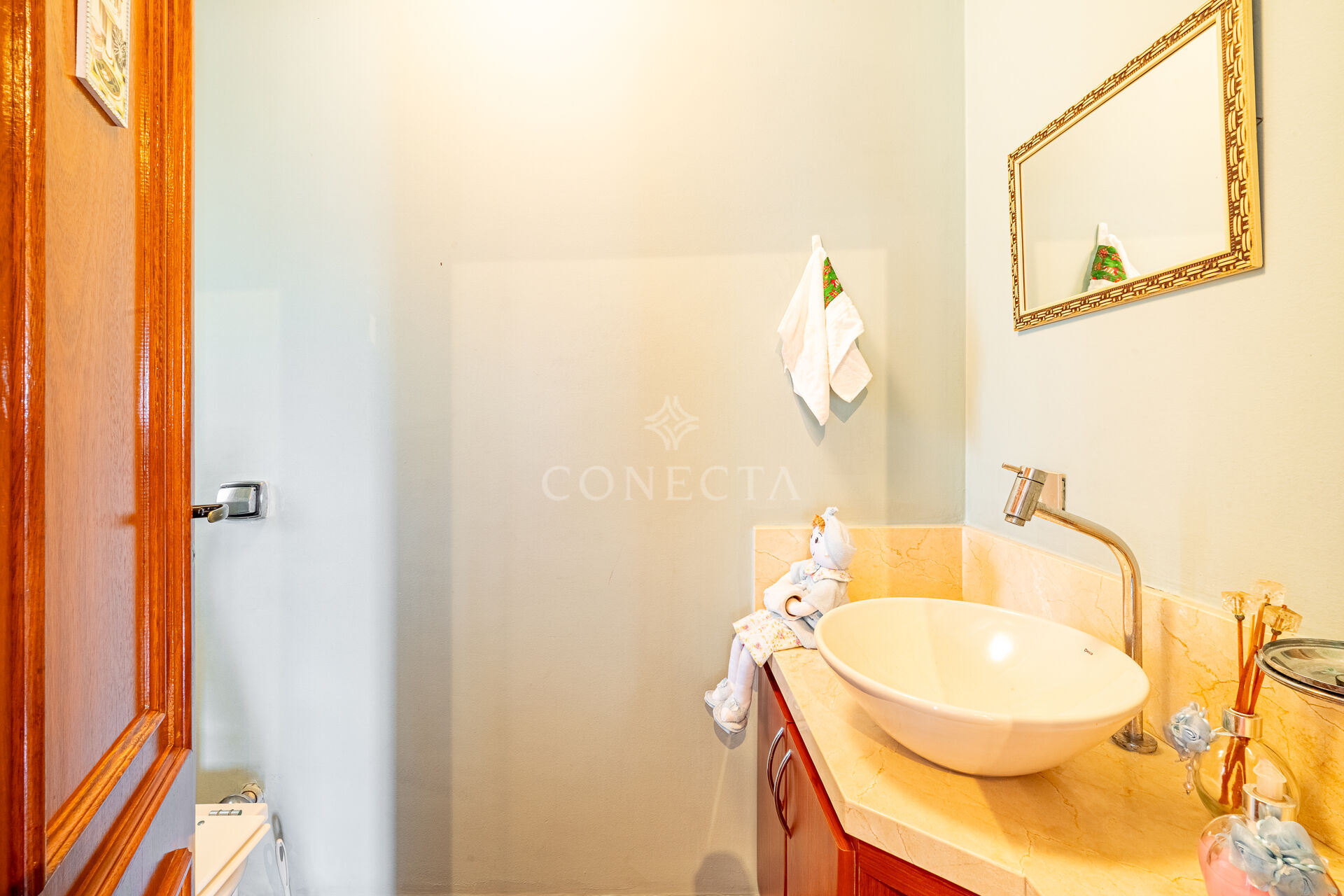 Casa, 3 quartos, 345 m² - Foto 11
