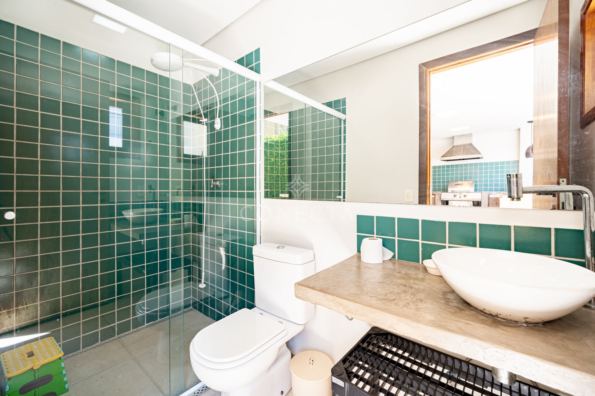 Casa, 4 quartos, 341 m² - Foto 20