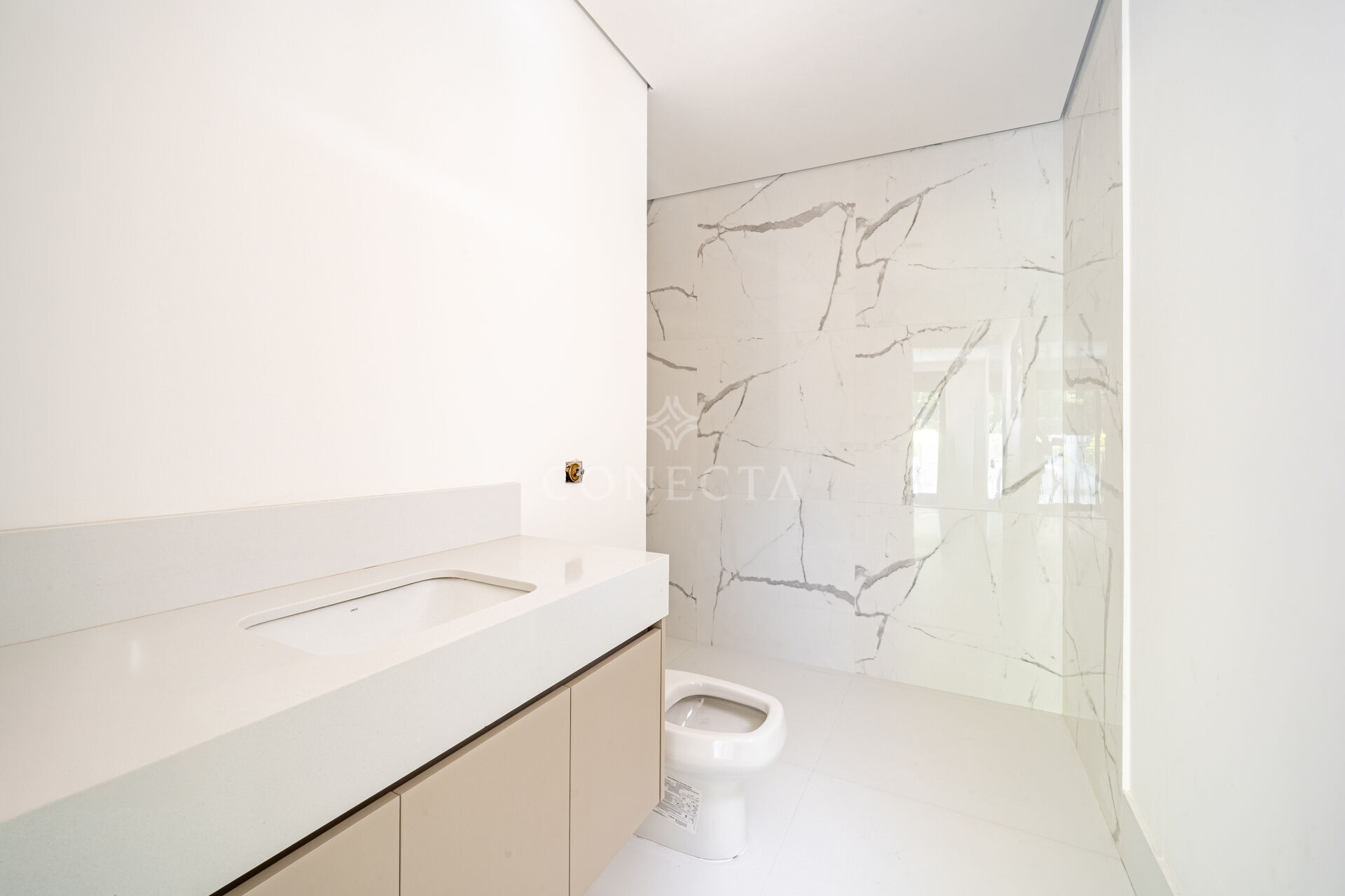 Casa, 4 quartos, 450 m² - Foto 38