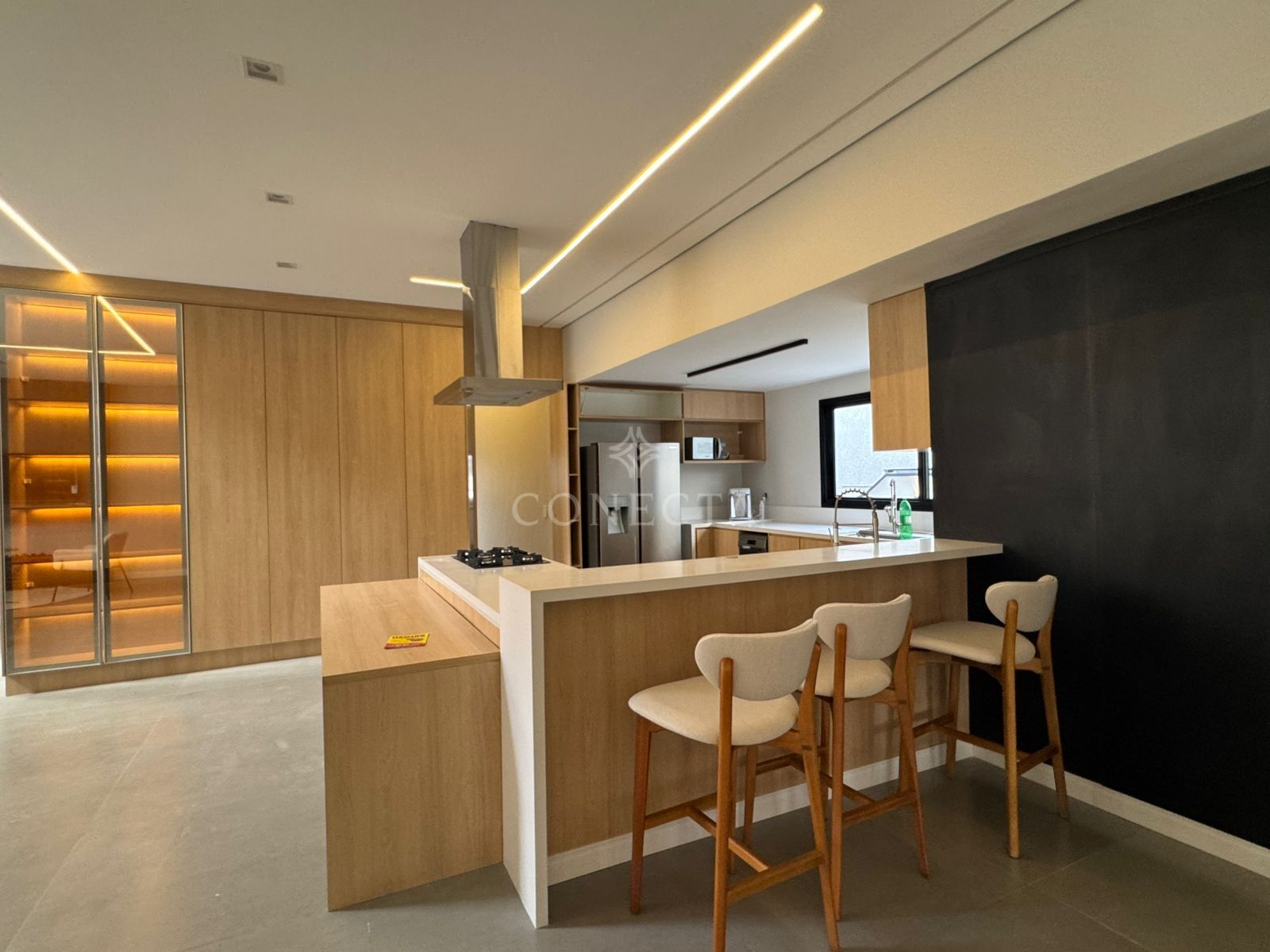 Casa, 5 quartos, 520 m² - Foto 6