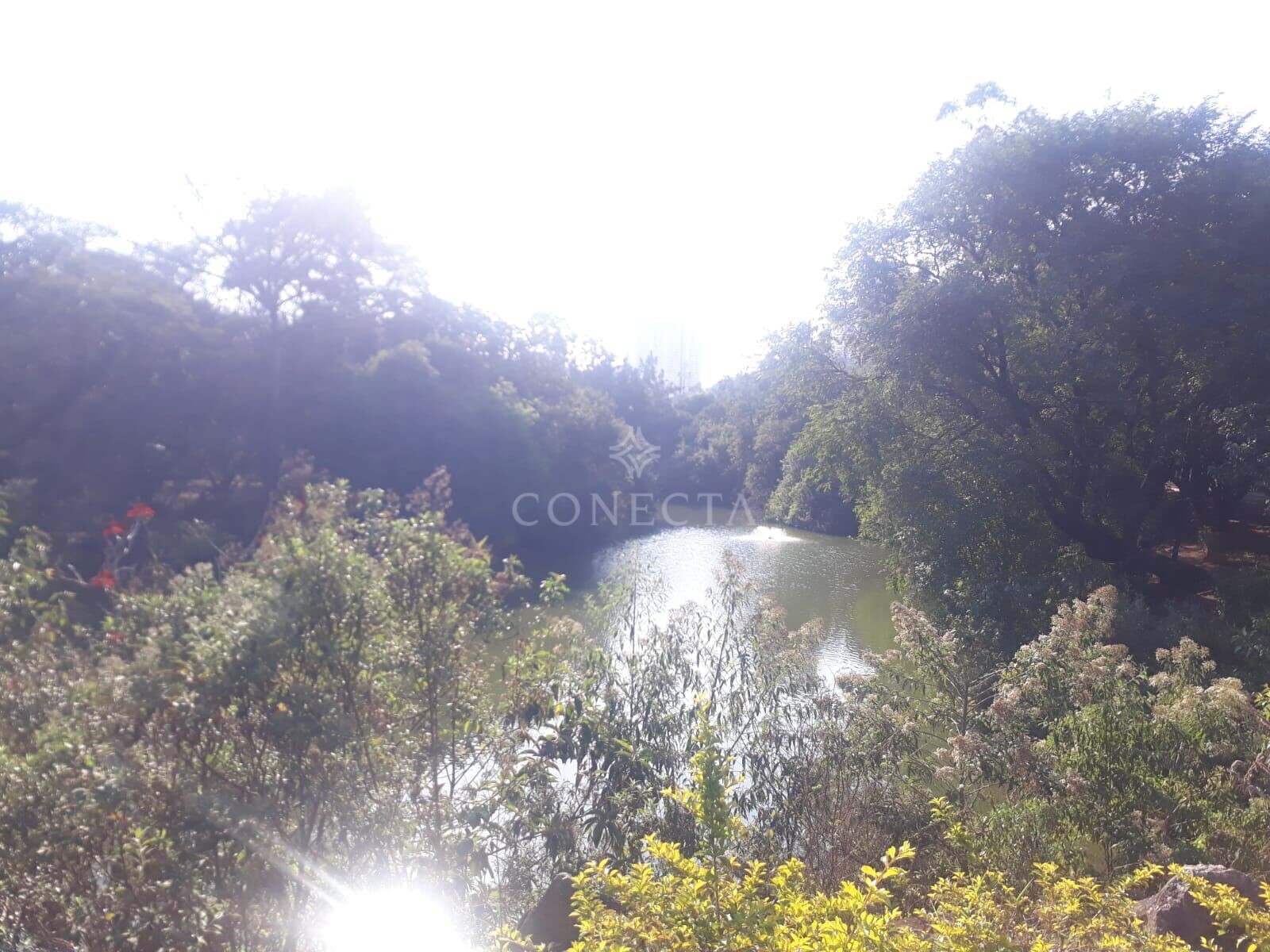 Casa, 4 quartos, 430 m² - Foto 2