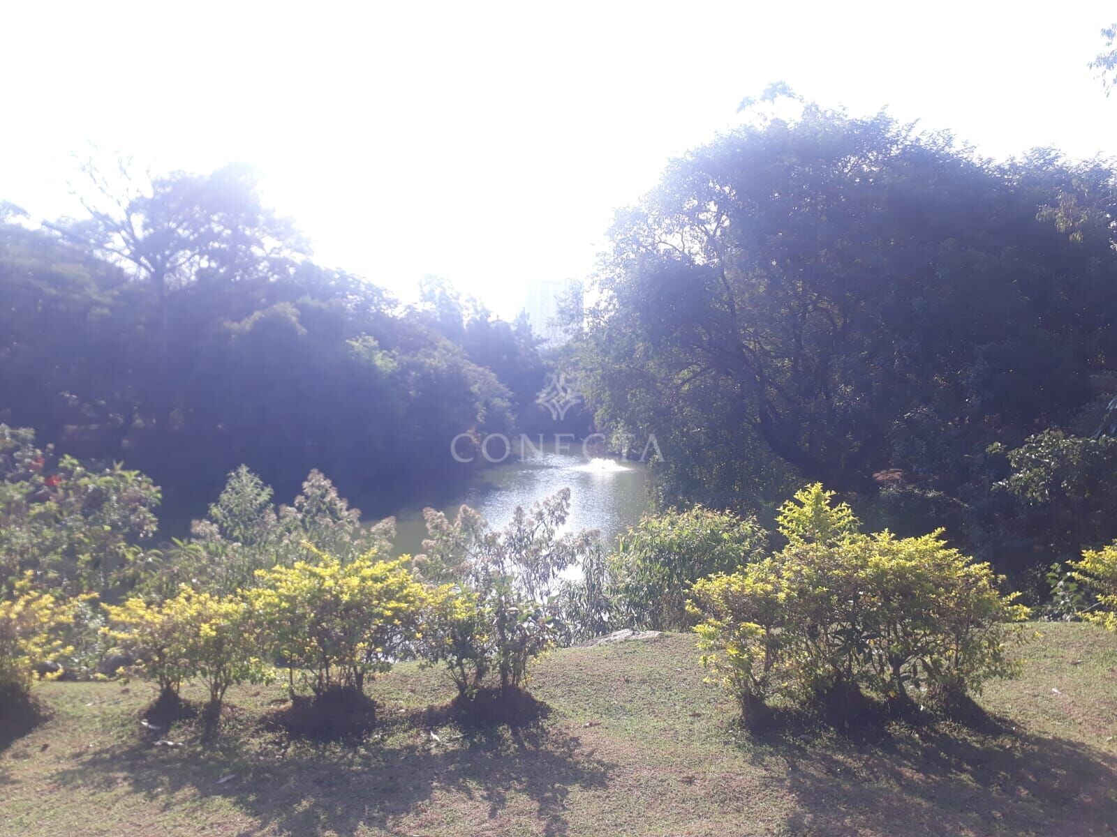 Casa, 4 quartos, 430 m² - Foto 33