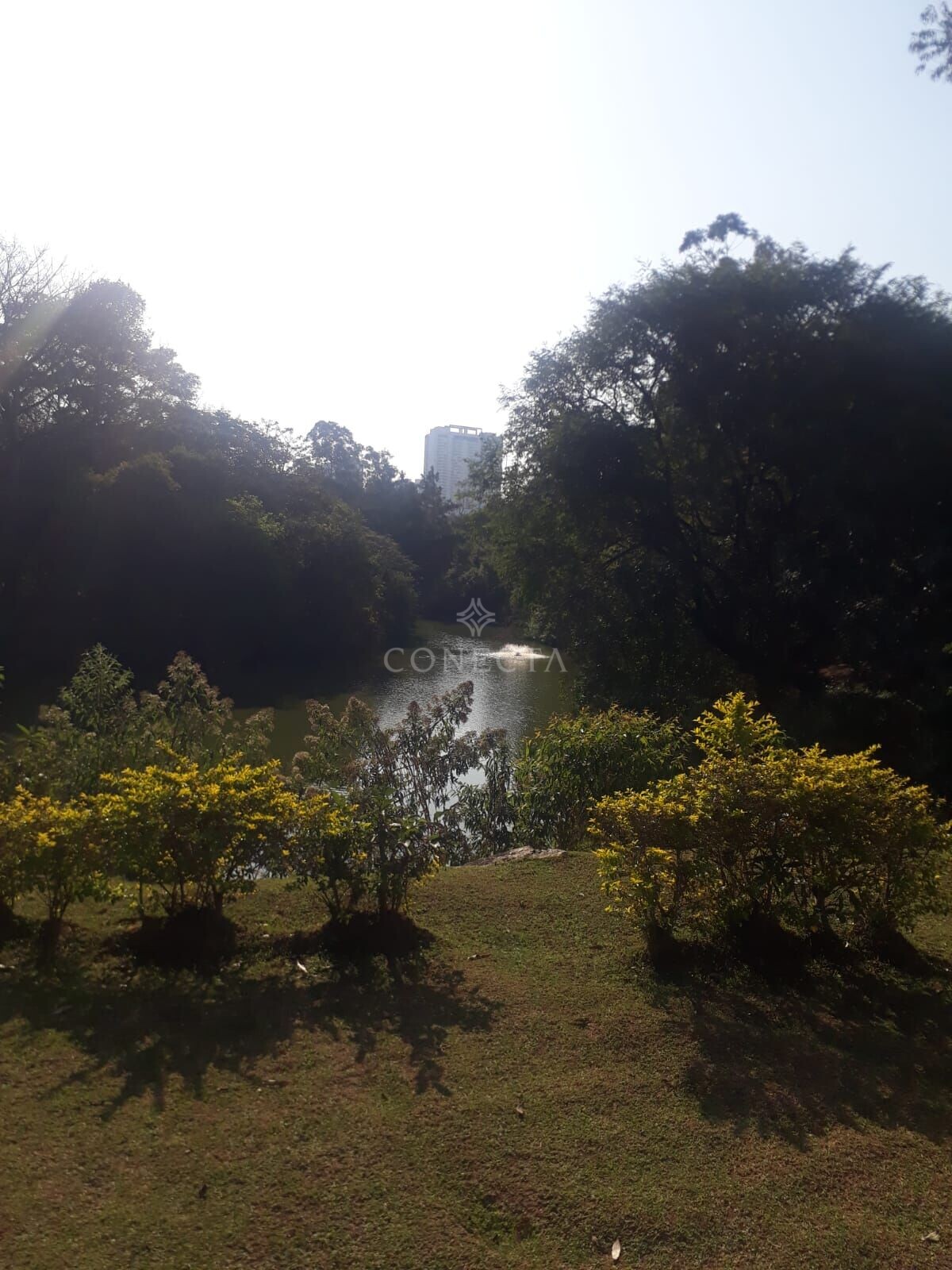 Casa, 4 quartos, 430 m² - Foto 31