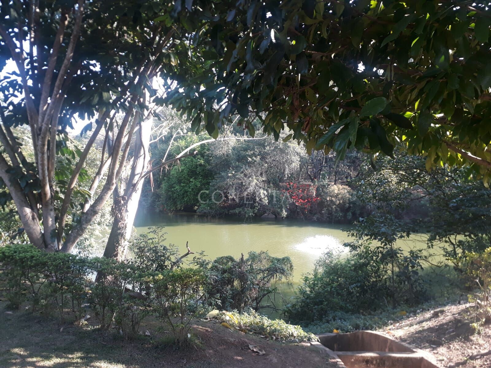 Casa, 4 quartos, 430 m² - Foto 39