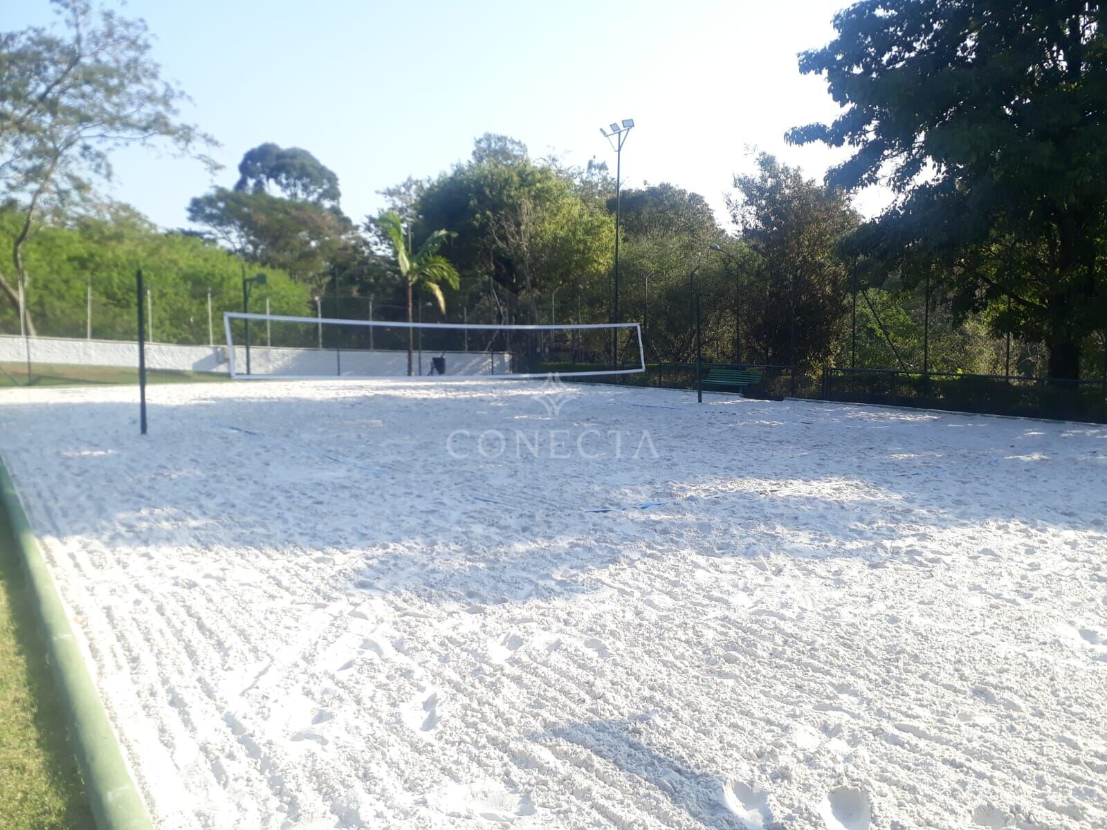 Casa, 4 quartos, 430 m² - Foto 11