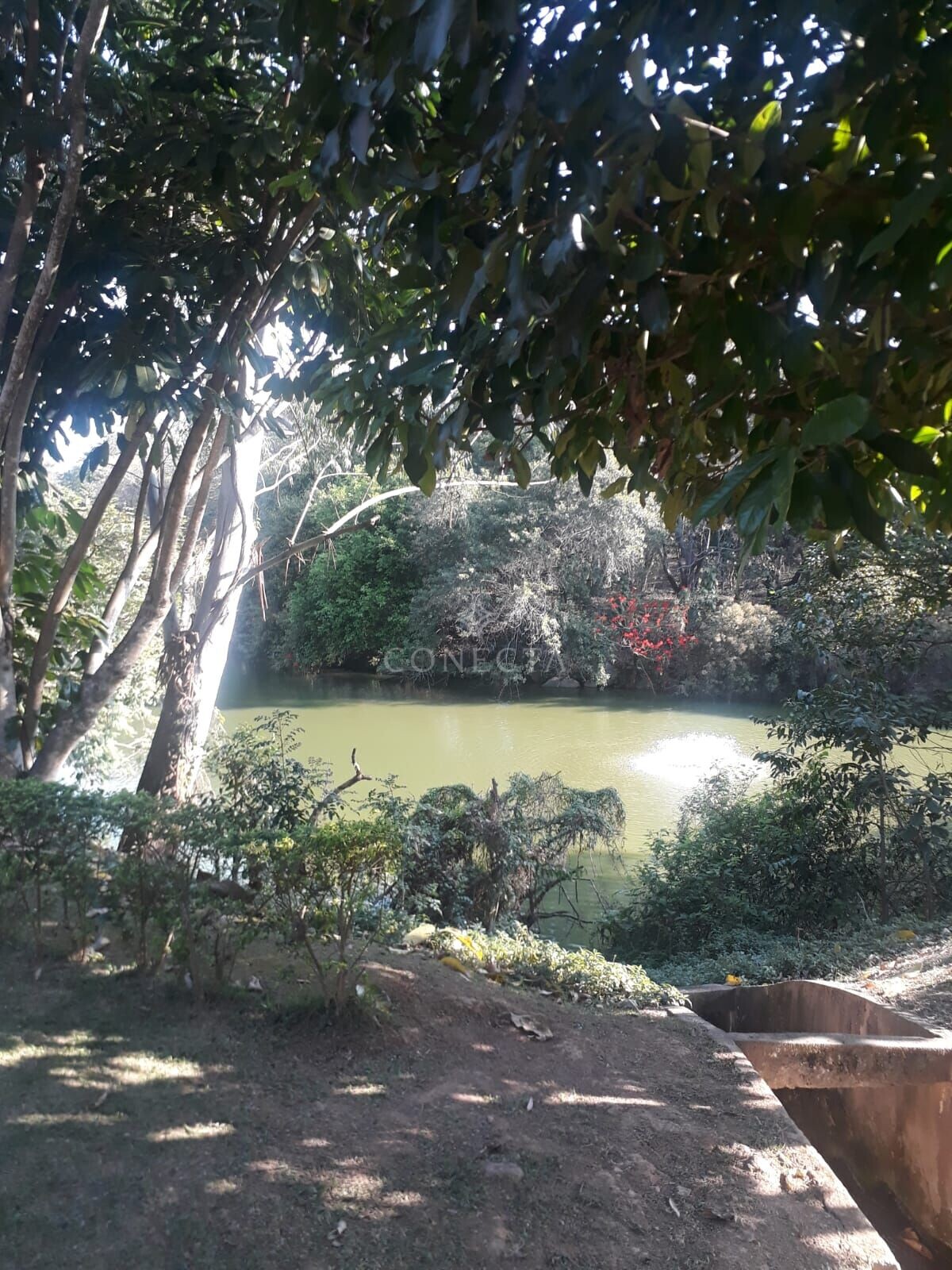 Casa, 4 quartos, 430 m² - Foto 35