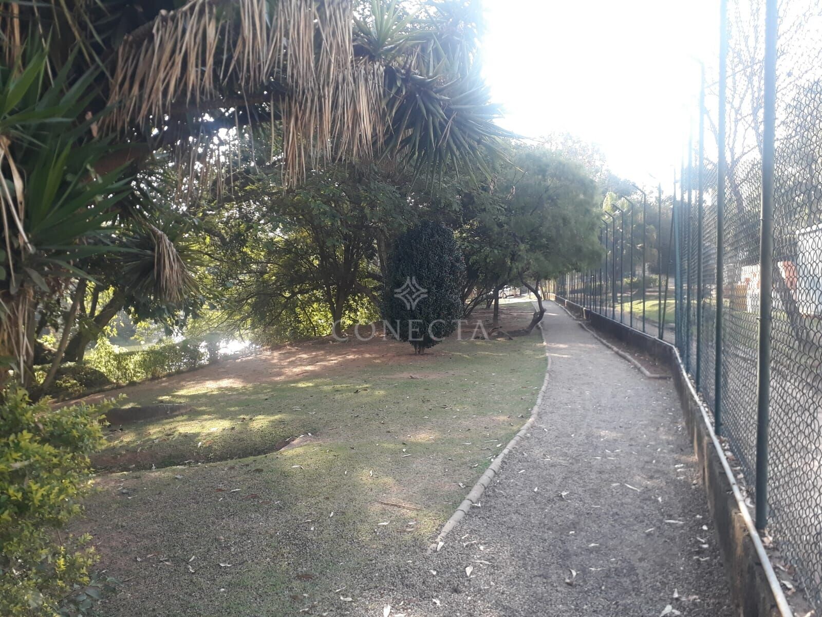 Casa, 4 quartos, 430 m² - Foto 4