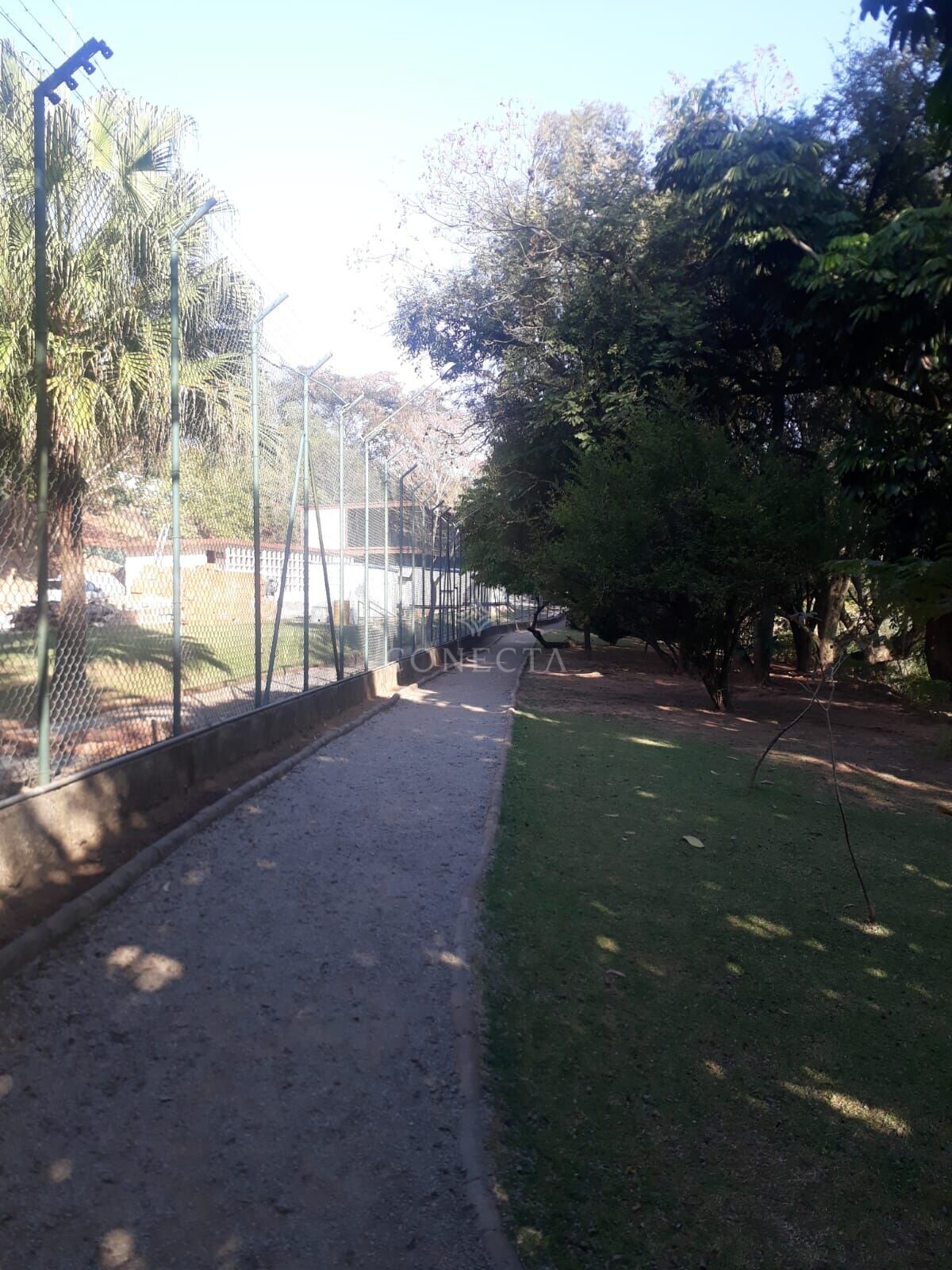 Casa, 4 quartos, 430 m² - Foto 38