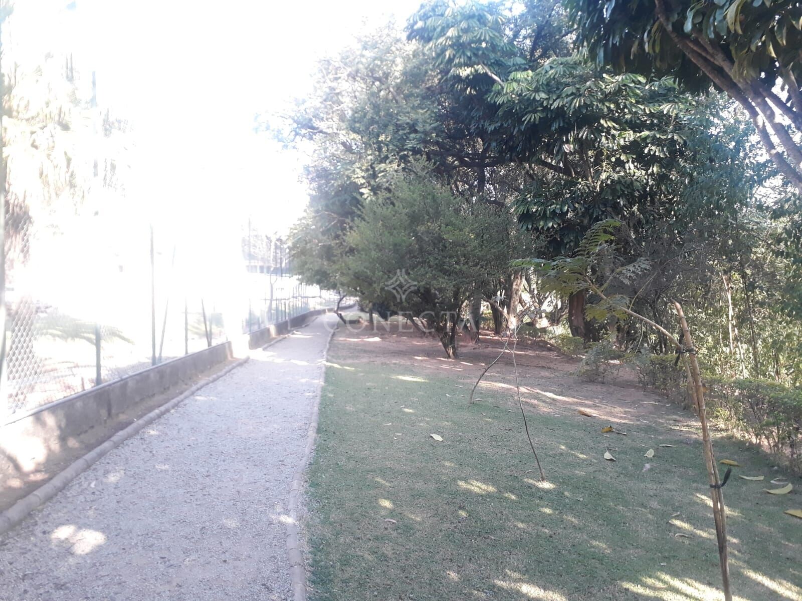 Casa, 4 quartos, 430 m² - Foto 37