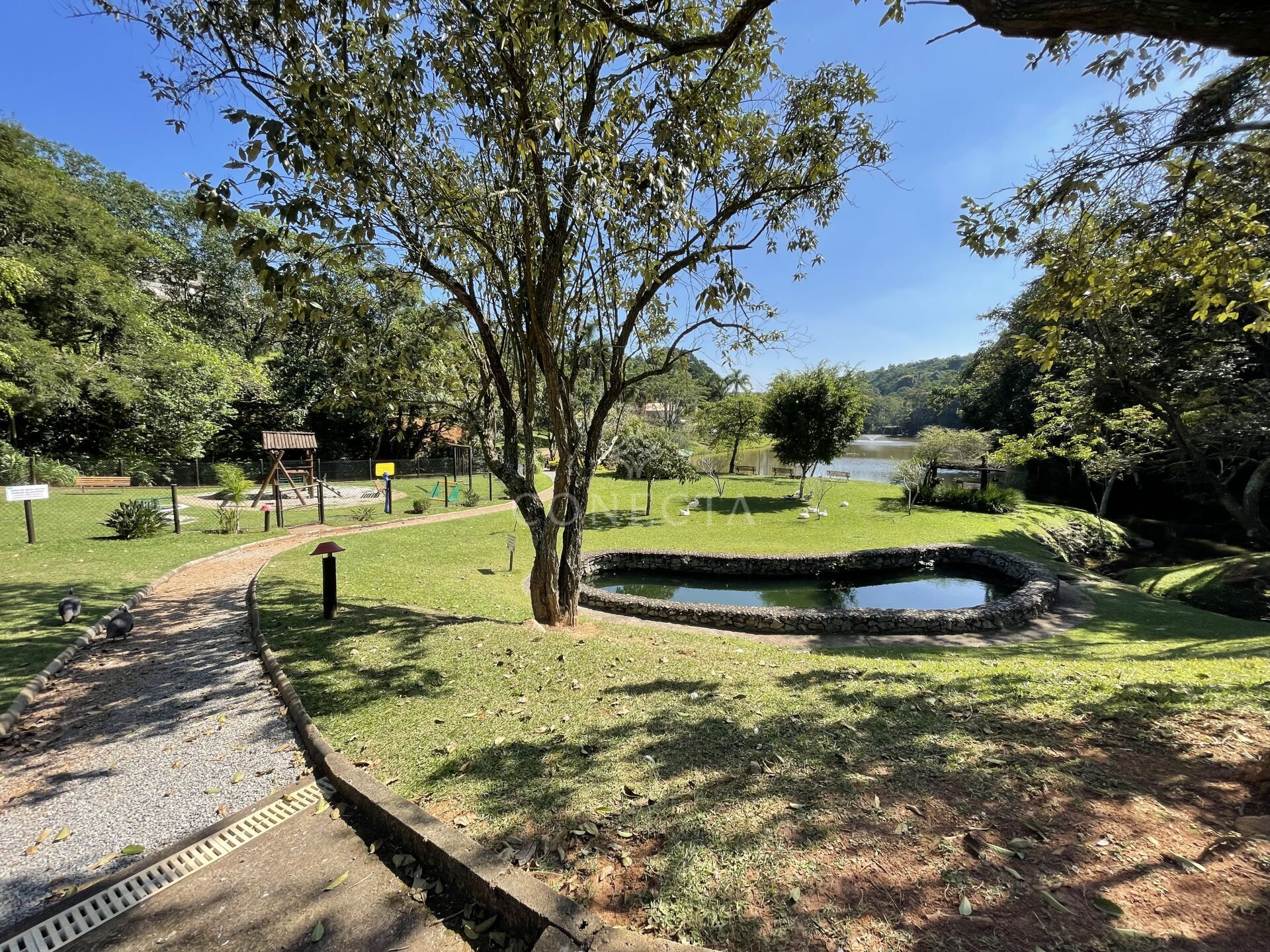 Terreno, 2707 m² - Foto 6