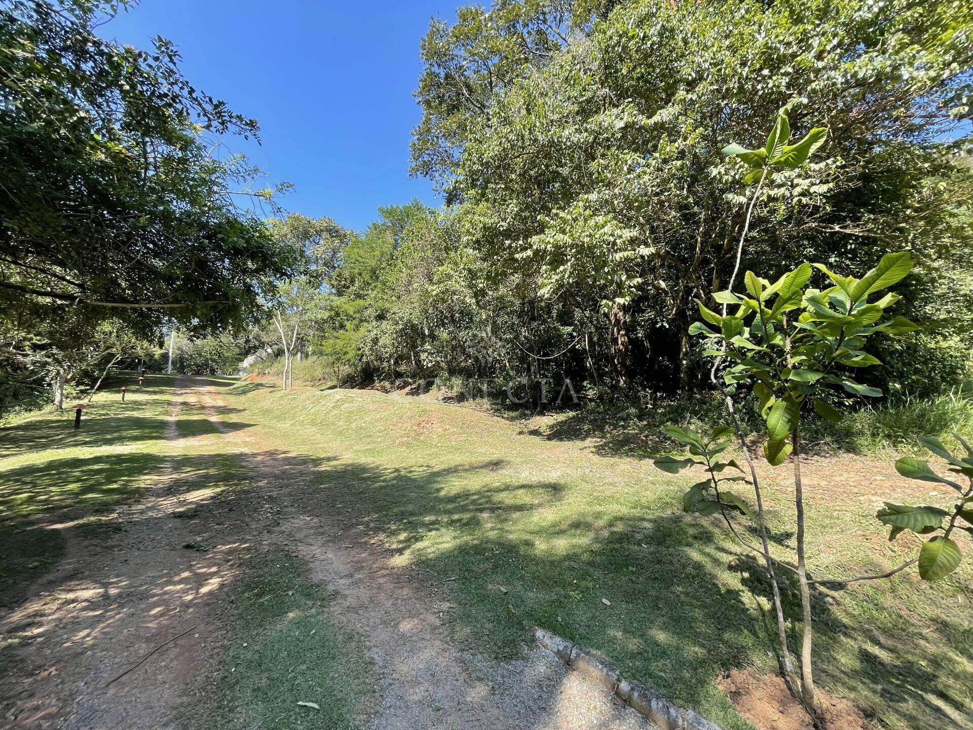 Terreno, 2707 m² - Foto 4