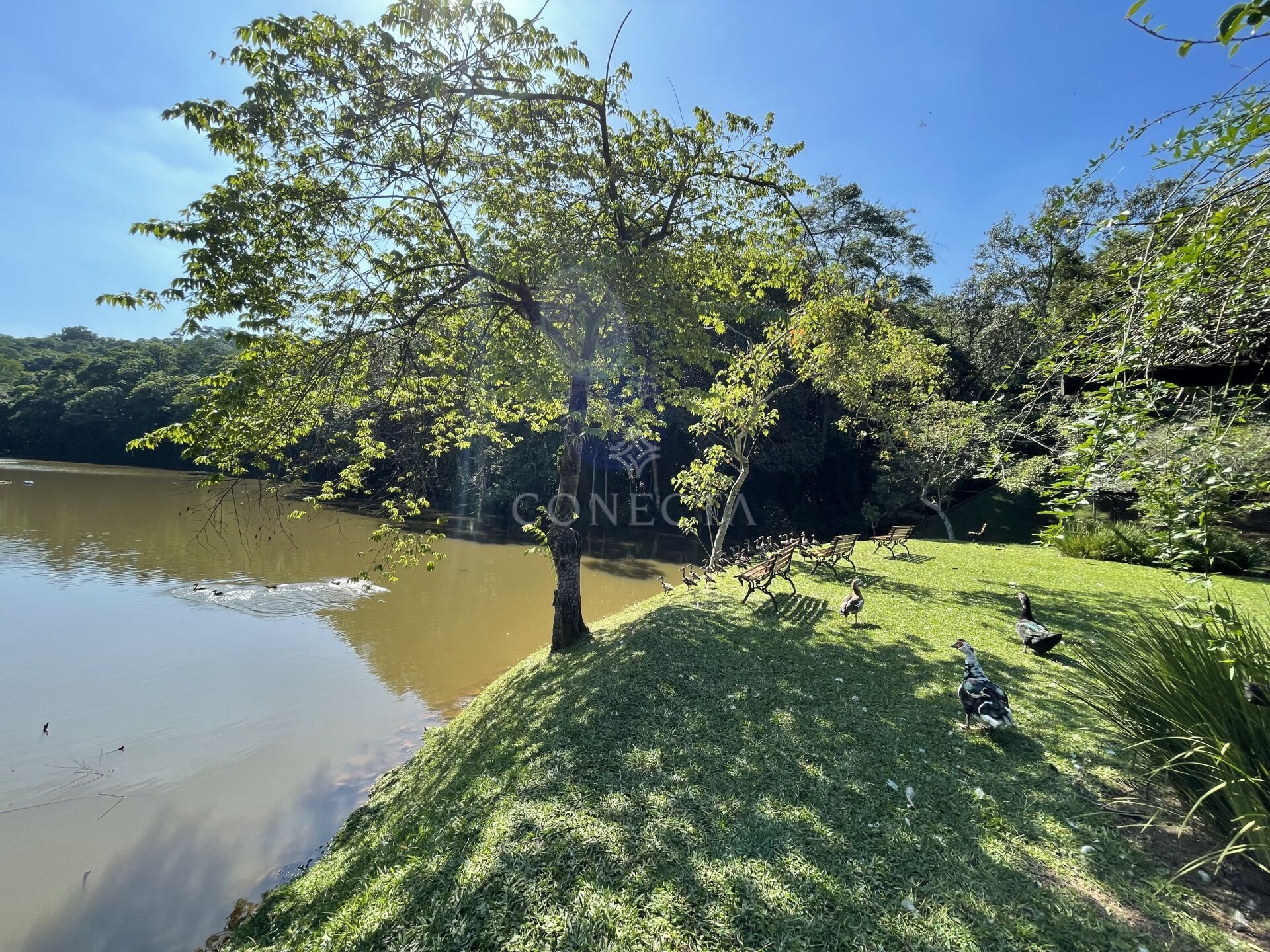 Terreno, 2707 m² - Foto 8