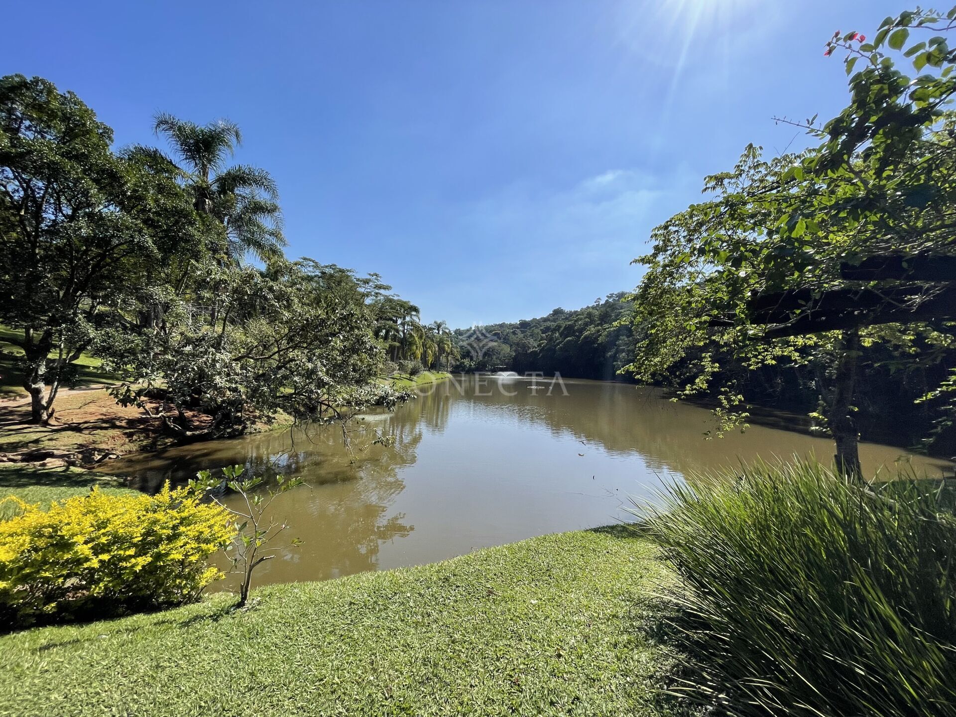 Terreno, 2707 m² - Foto 7