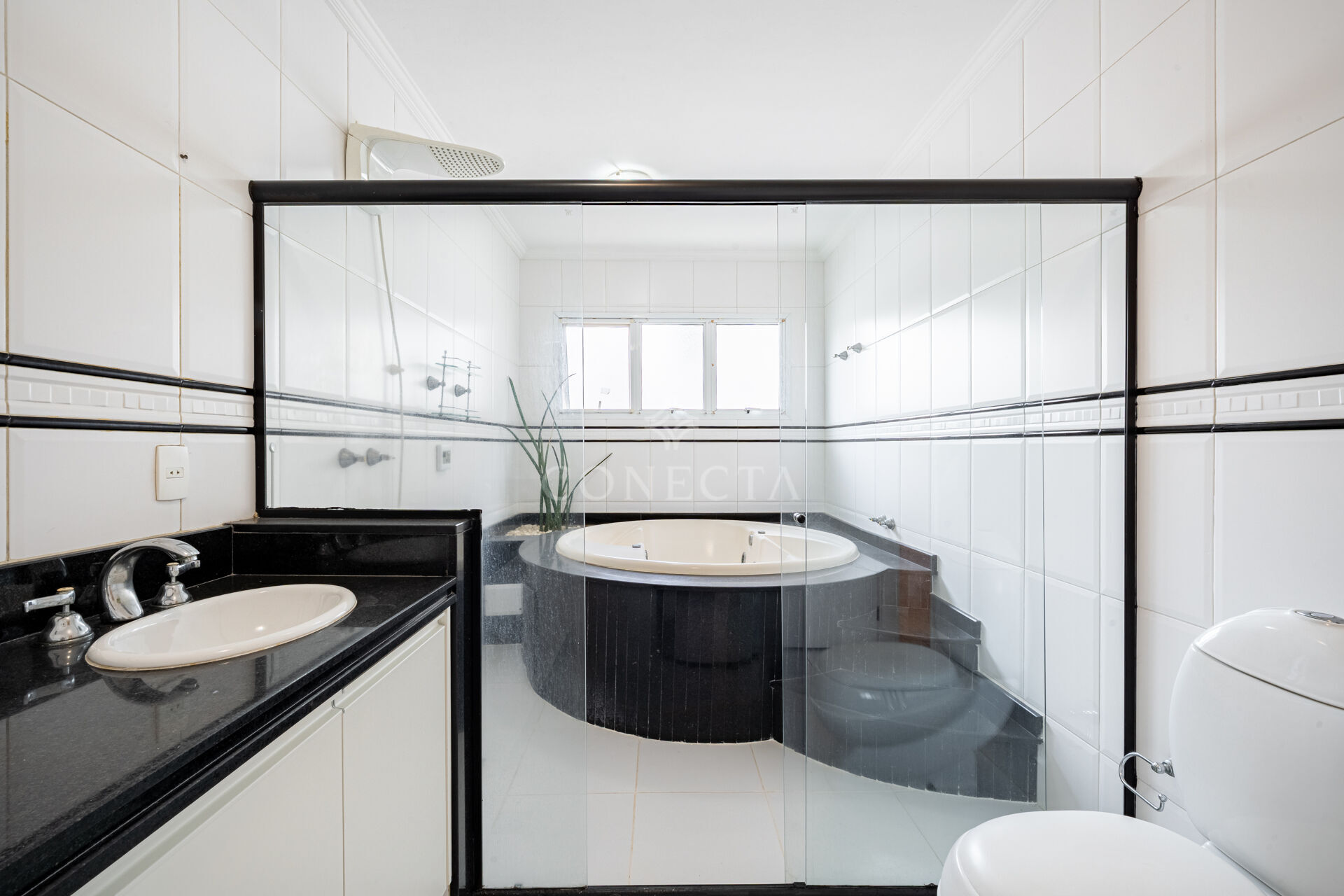 Casa, 4 quartos, 373 m² - Foto 40