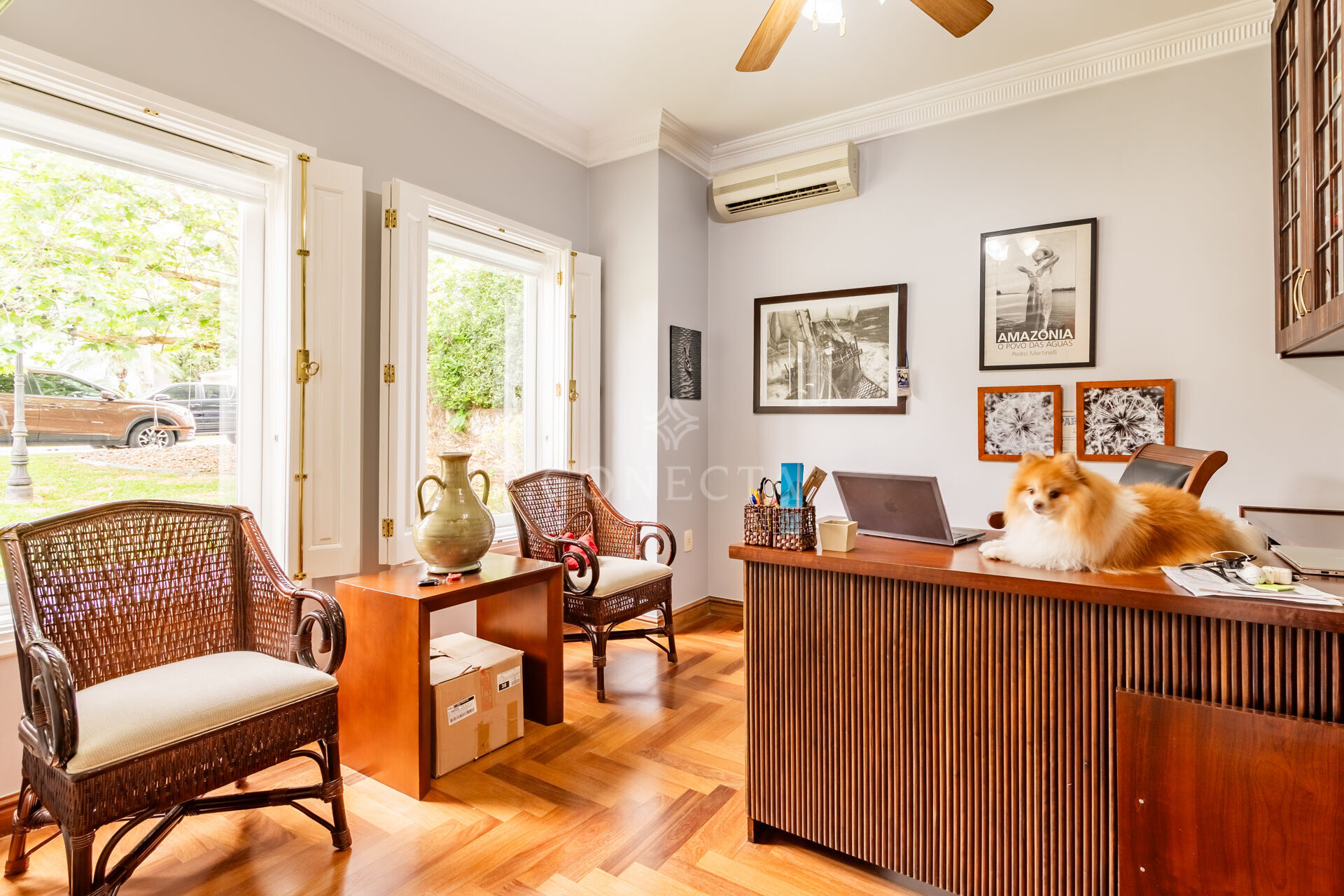 Casa, 4 quartos, 535 m² - Foto 47