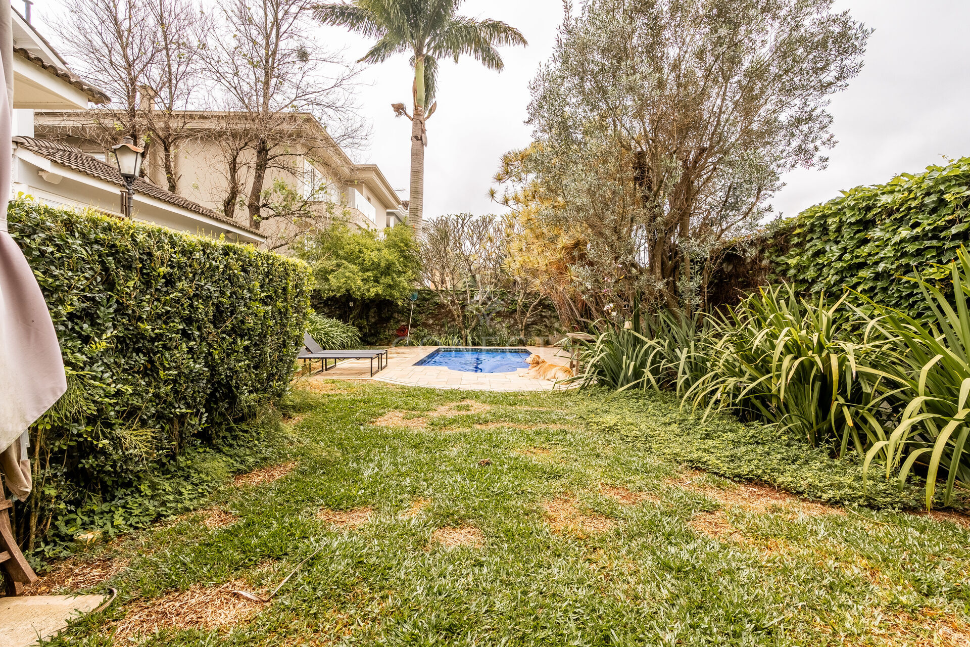 Casa, 4 quartos, 535 m² - Foto 4