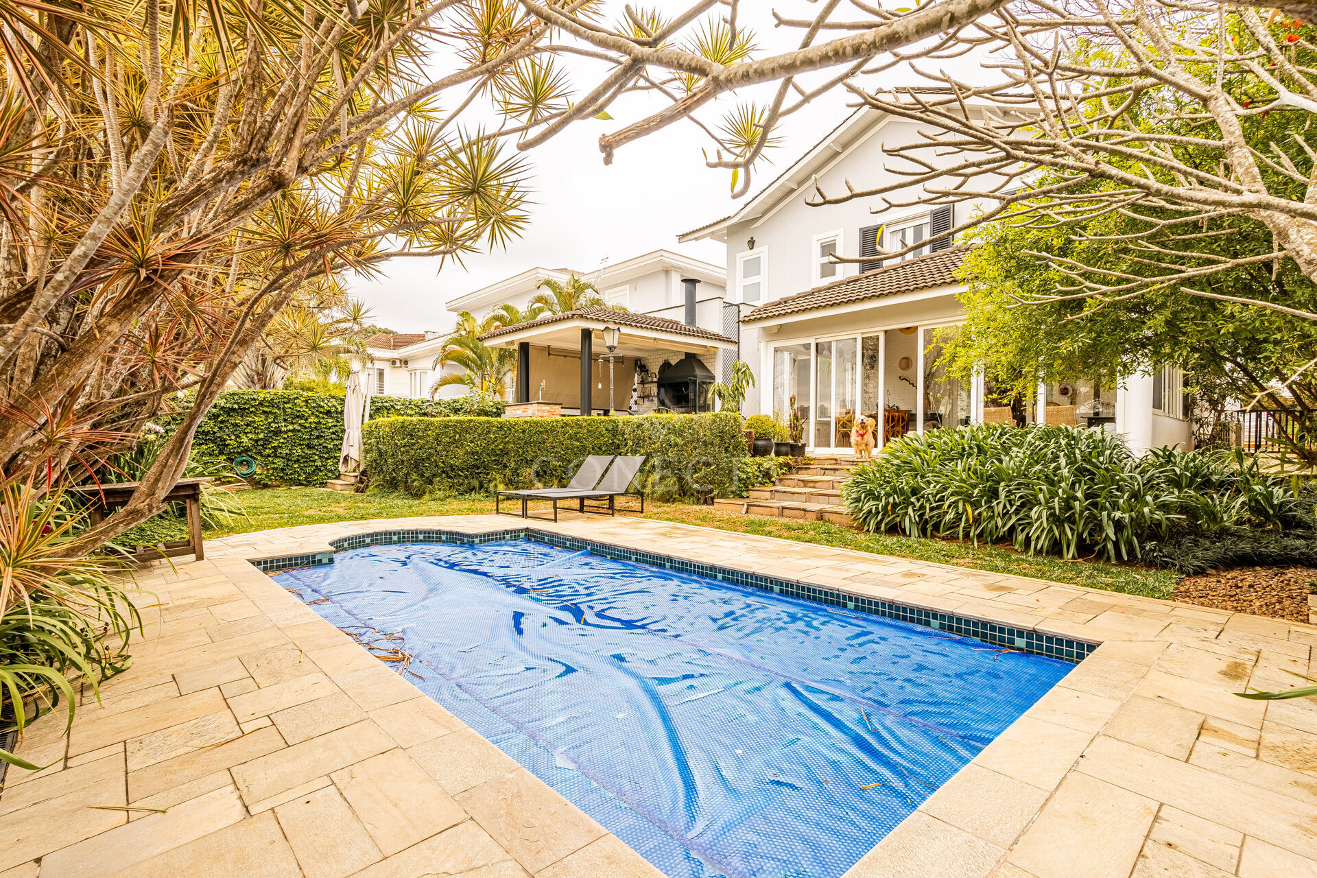 Casa, 4 quartos, 535 m² - Foto 2