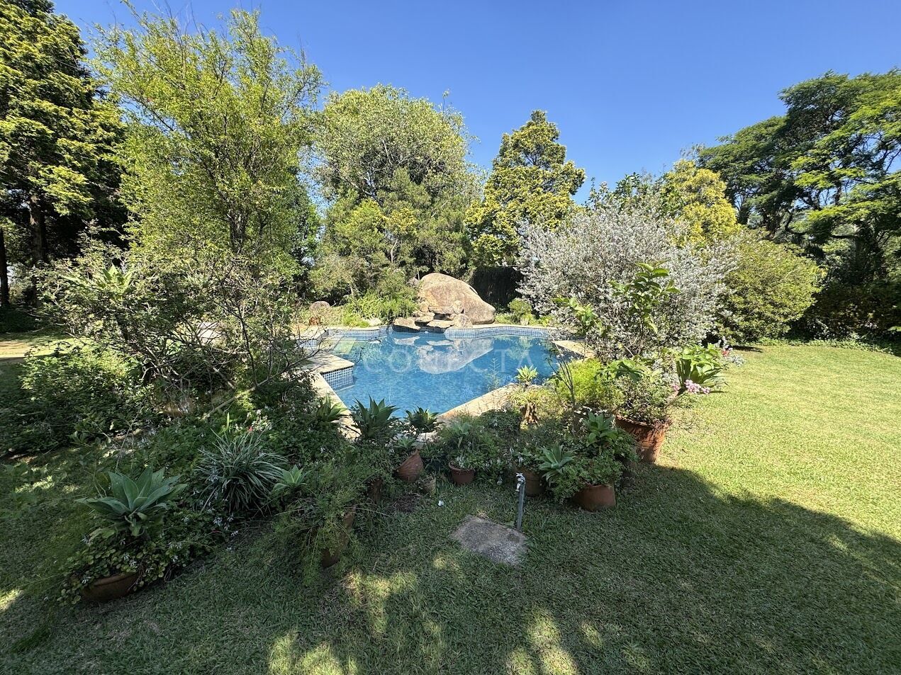 Casa, 4 quartos, 1000 m² - Foto 4