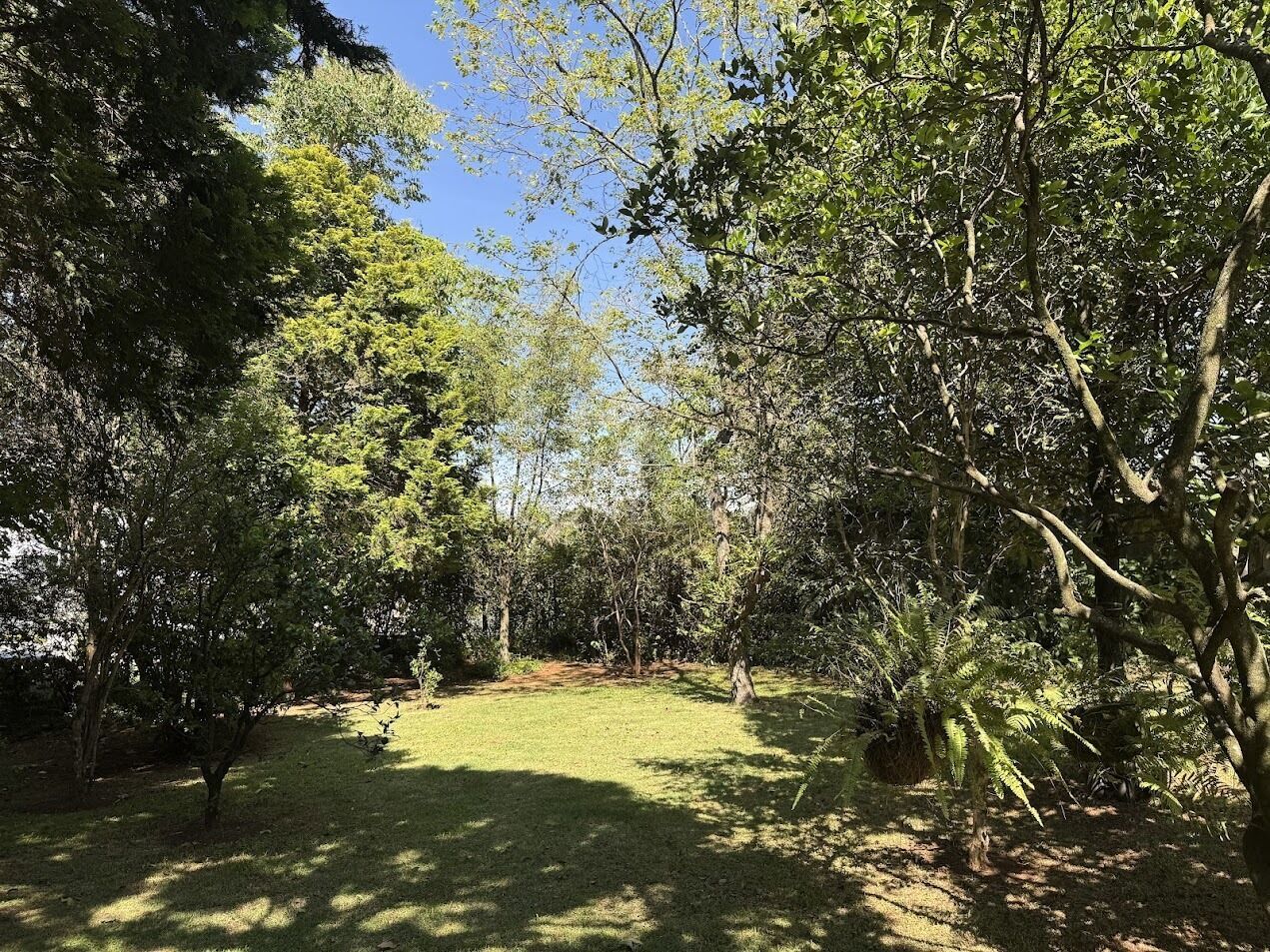 Casa, 4 quartos, 1000 m² - Foto 34