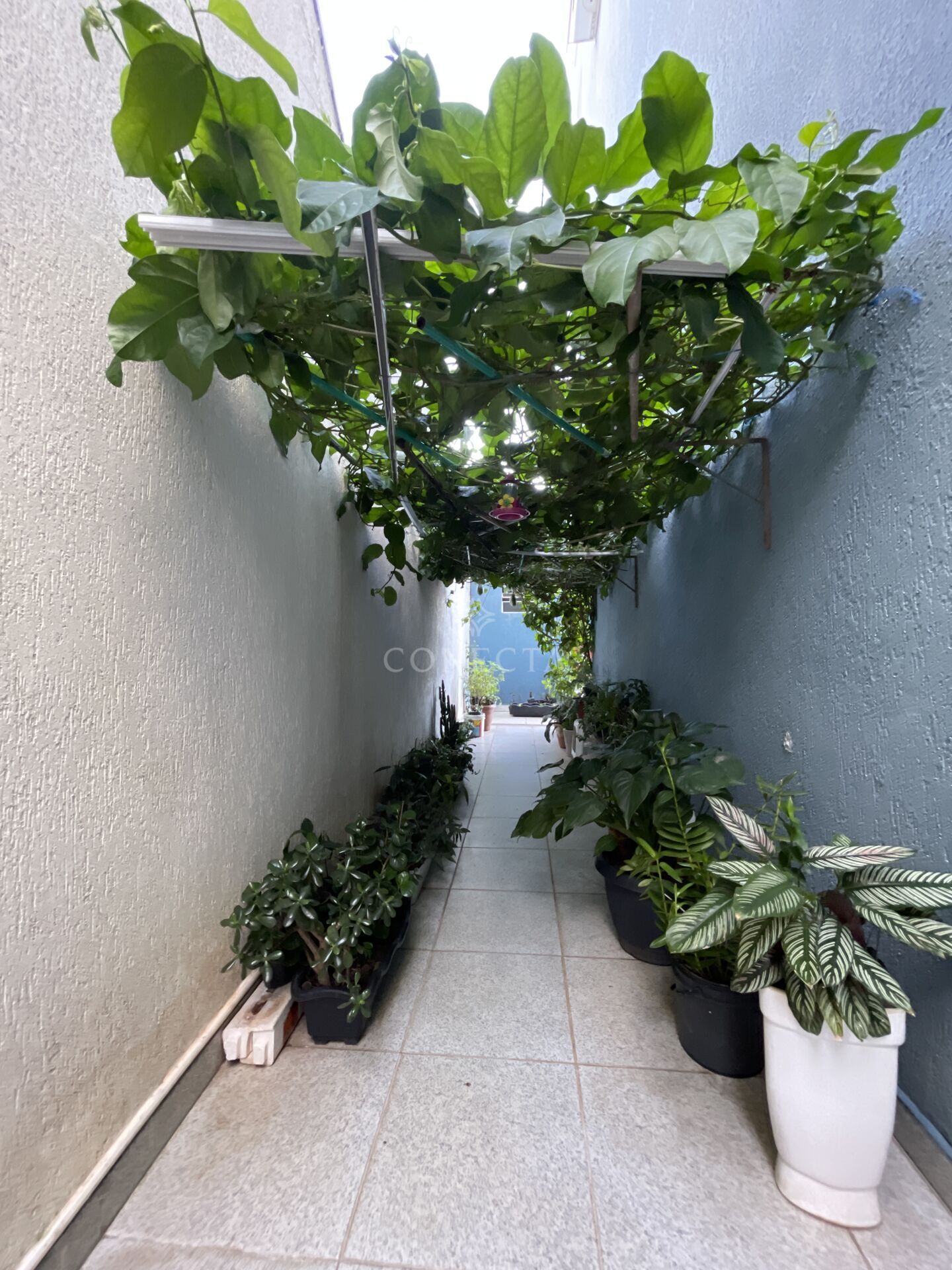 Casa, 6 quartos, 384 m² - Foto 42