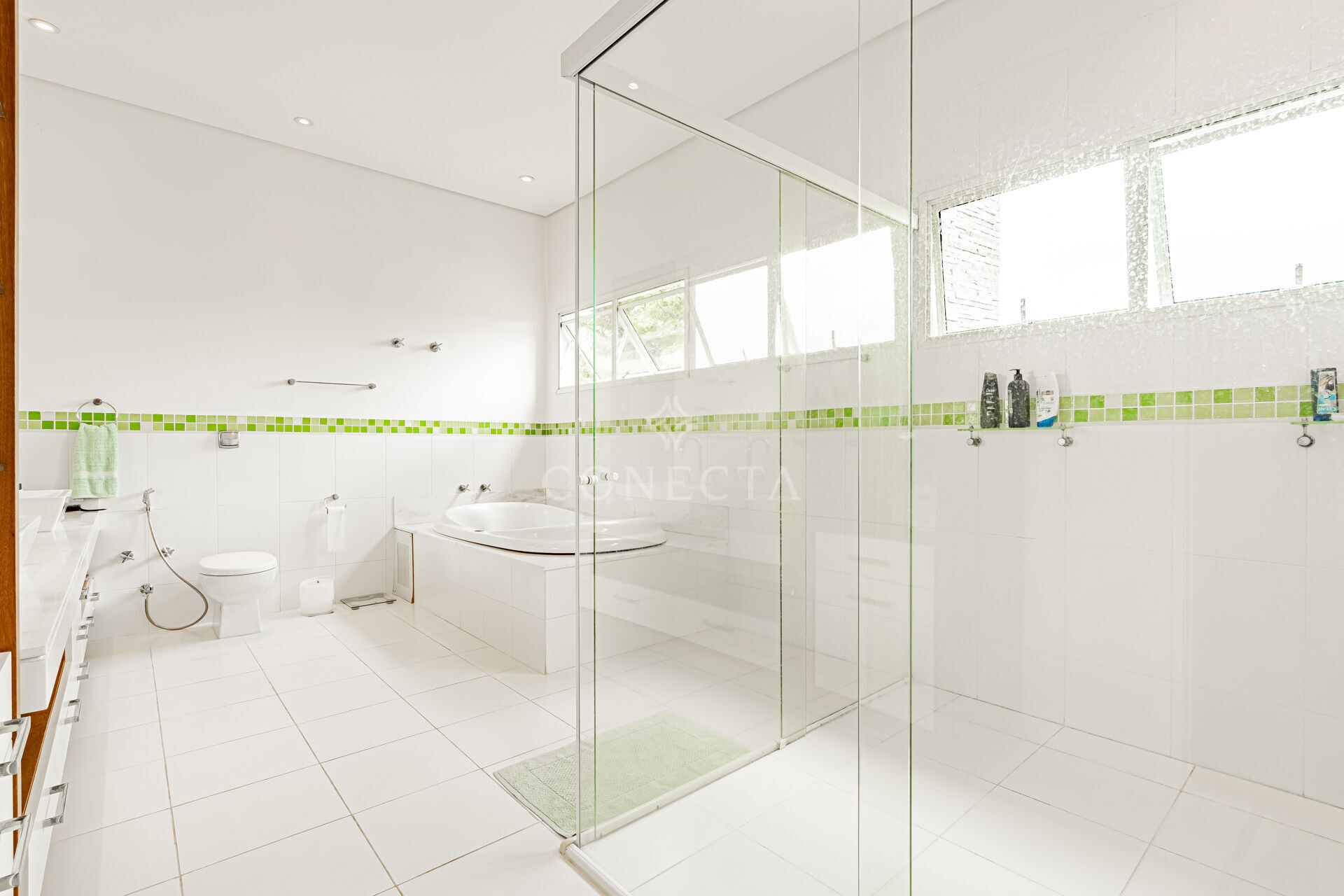 Casa, 4 quartos, 615 m² - Foto 36