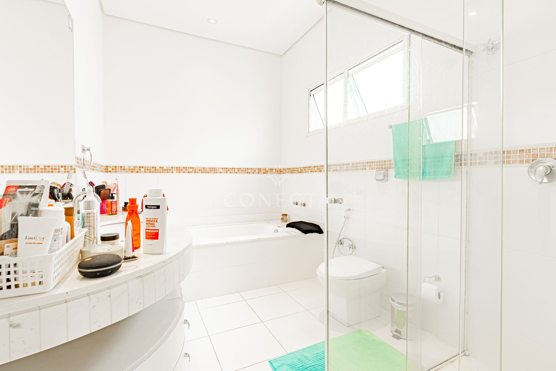 Casa, 4 quartos, 615 m² - Foto 43