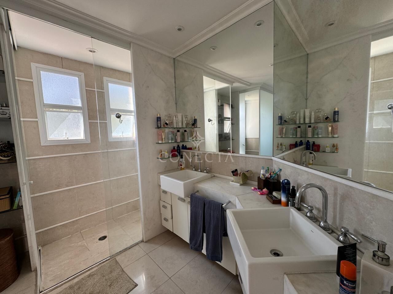 Casa, 4 quartos, 450 m² - Foto 17