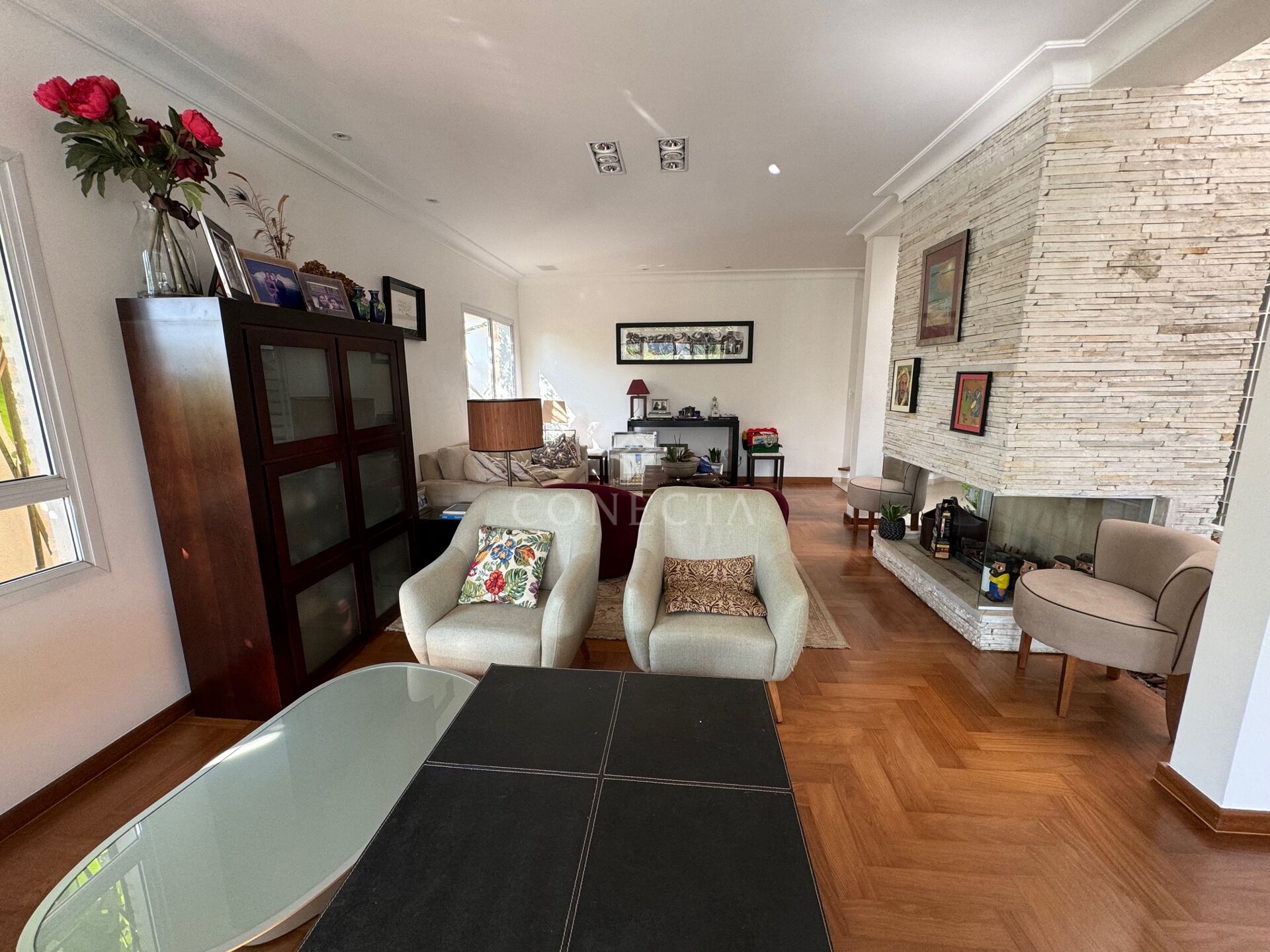 Casa, 4 quartos, 450 m² - Foto 6