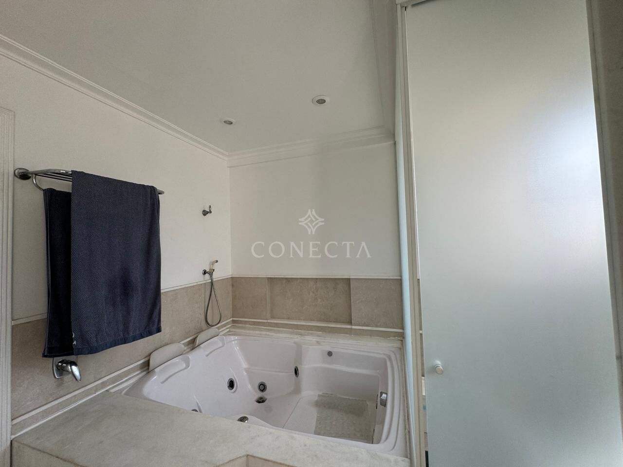 Casa, 4 quartos, 450 m² - Foto 18