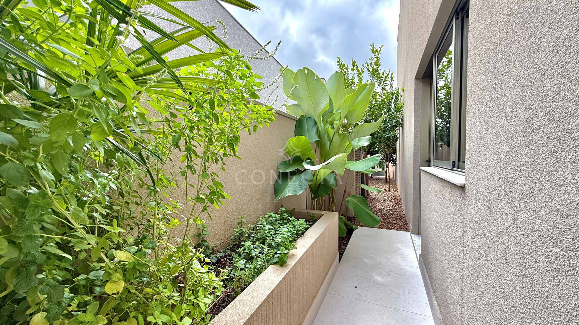 Casa, 4 quartos, 440 m² - Foto 45