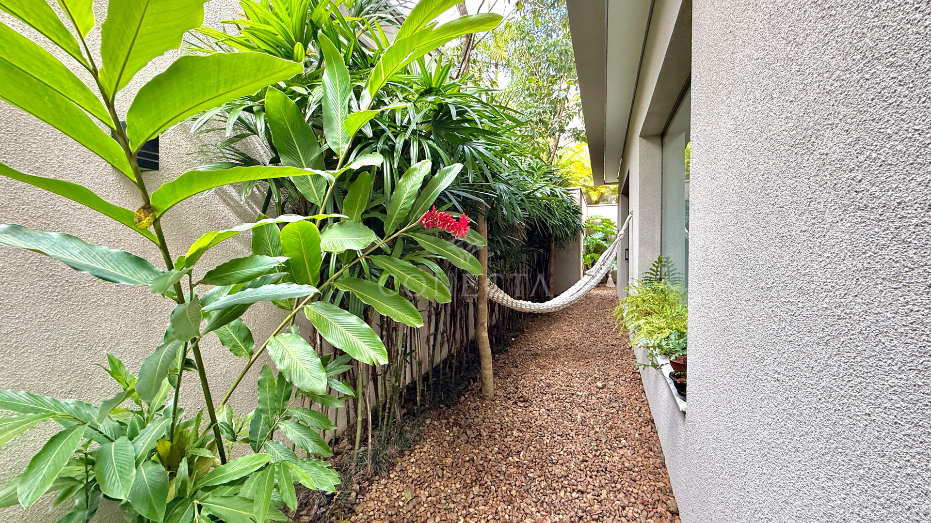 Casa, 4 quartos, 440 m² - Foto 43