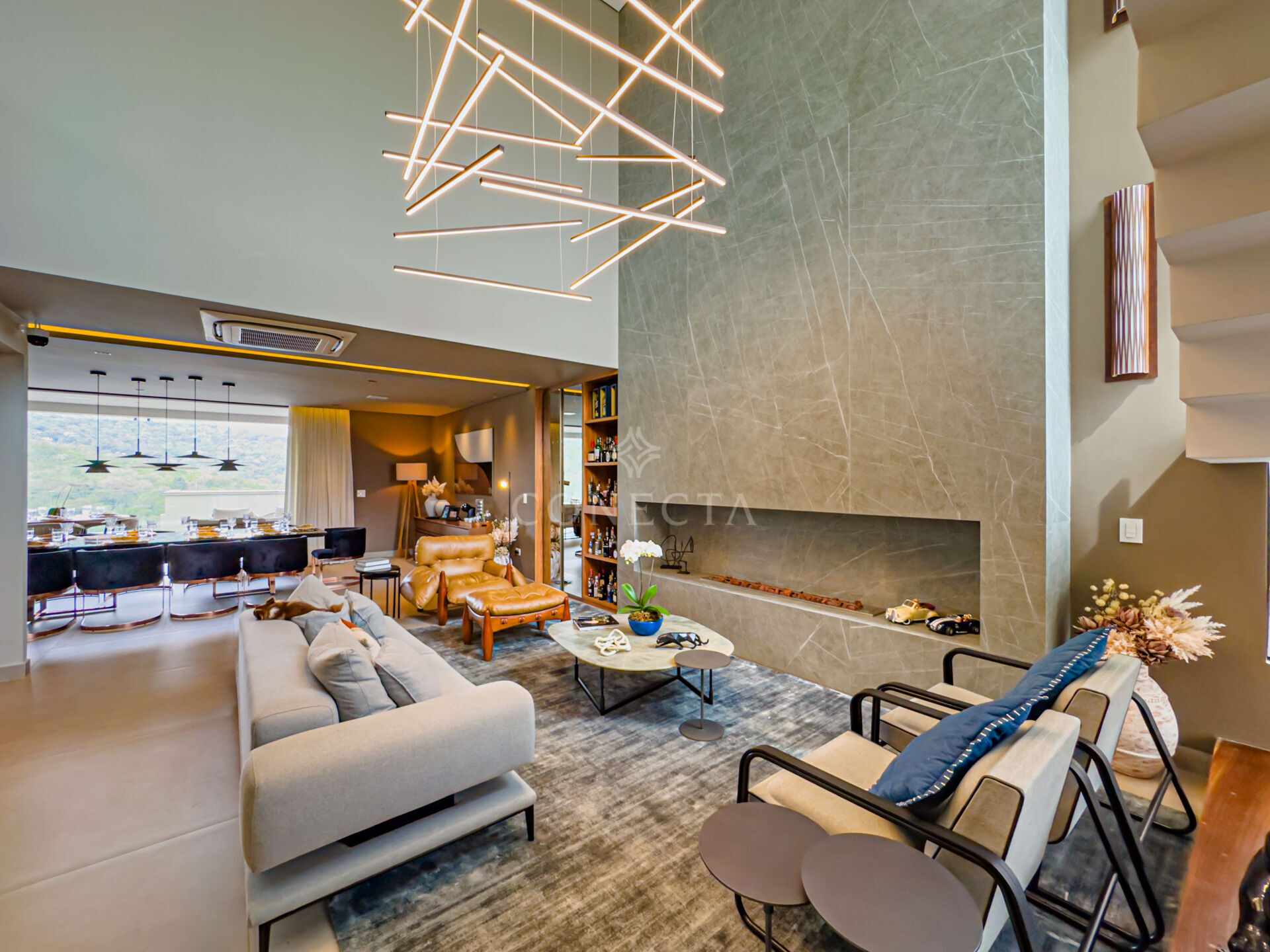 Casa, 4 quartos, 450 m² - Foto 7