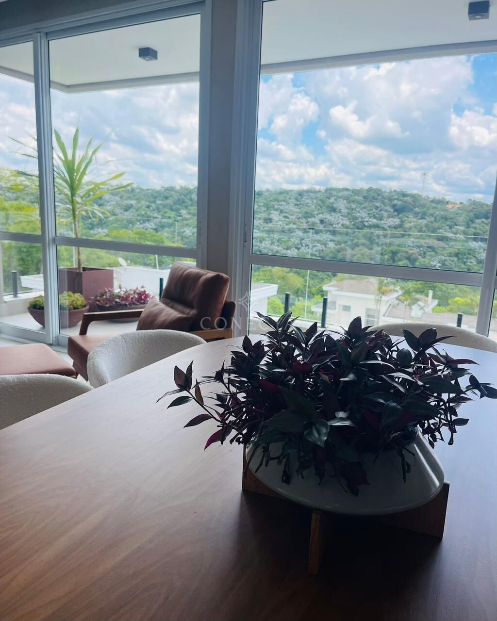 Casa, 4 quartos, 492 m² - Foto 13