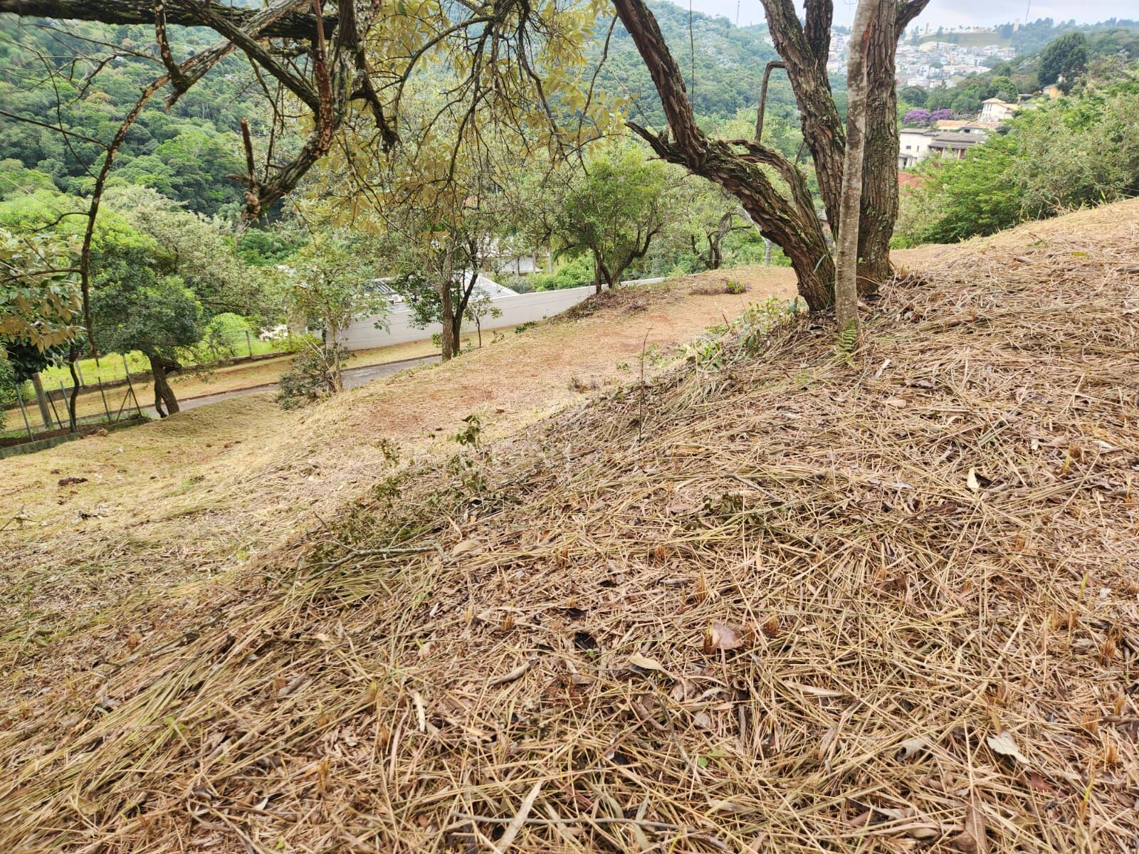 Terreno, 2519 m² - Foto 6