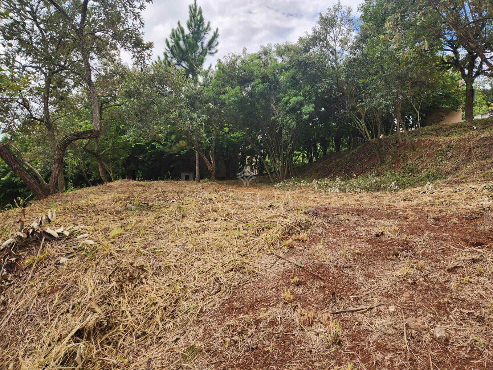 Terreno, 2519 m² - Foto 5