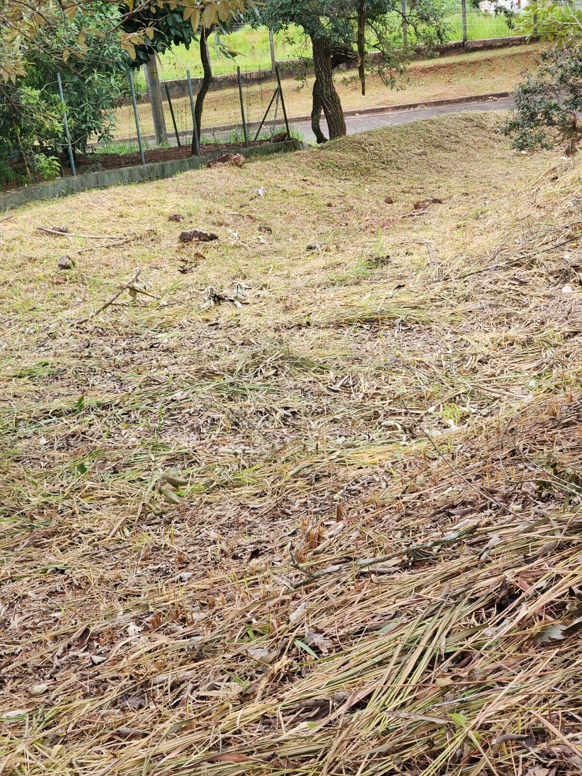 Terreno, 2519 m² - Foto 7