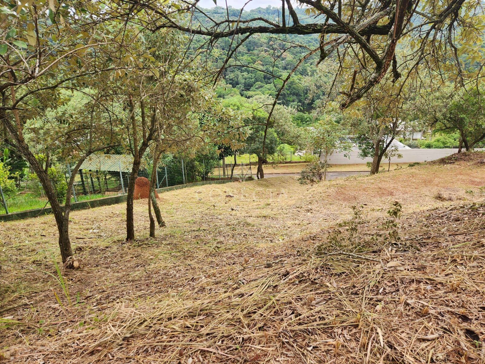 Terreno, 2519 m² - Foto 8