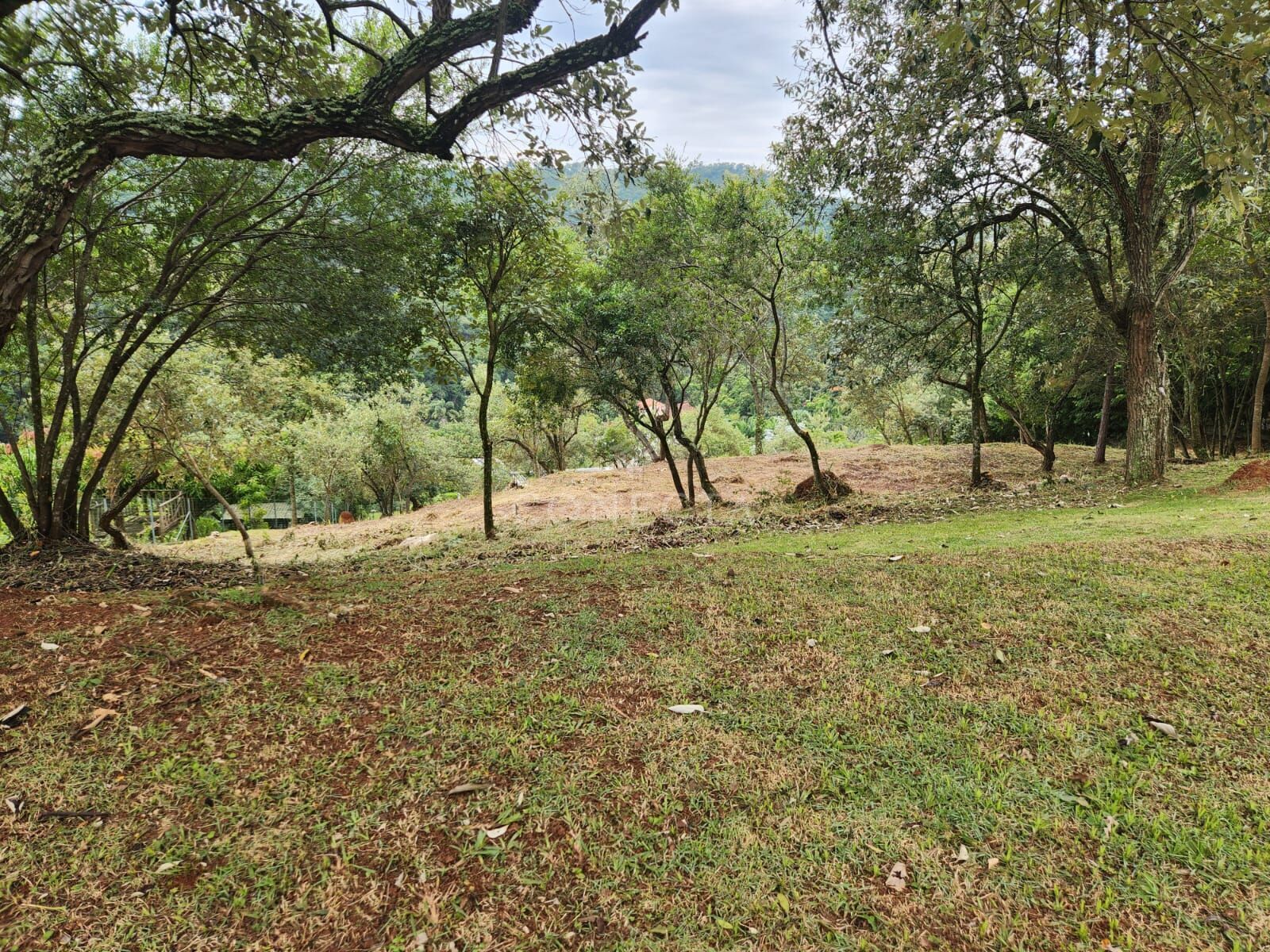 Terreno, 2519 m² - Foto 2