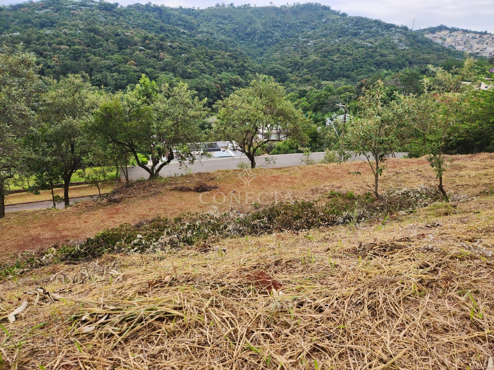 Terreno, 2519 m² - Foto 10