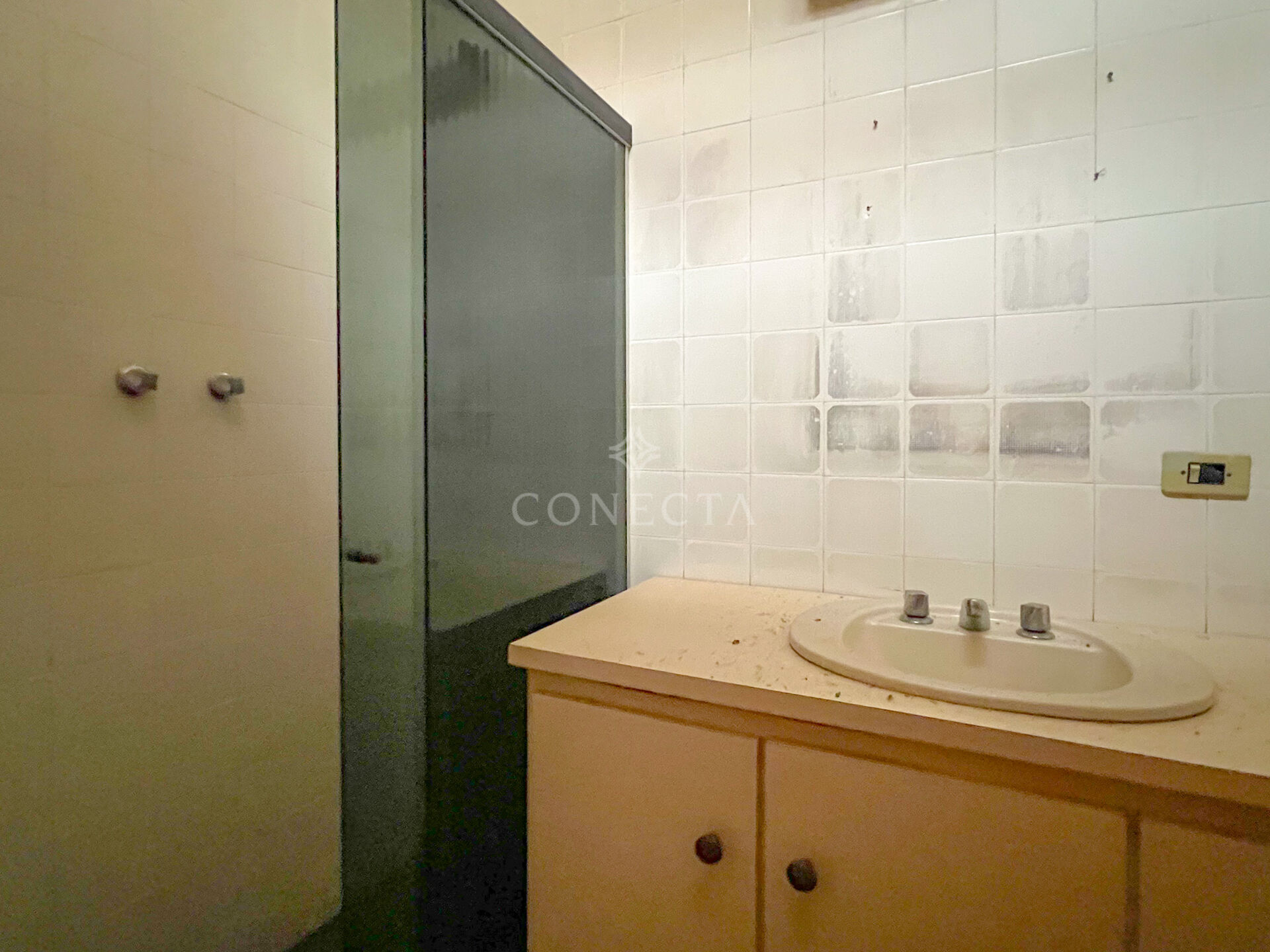Casa, 4 quartos, 260 m² - Foto 22